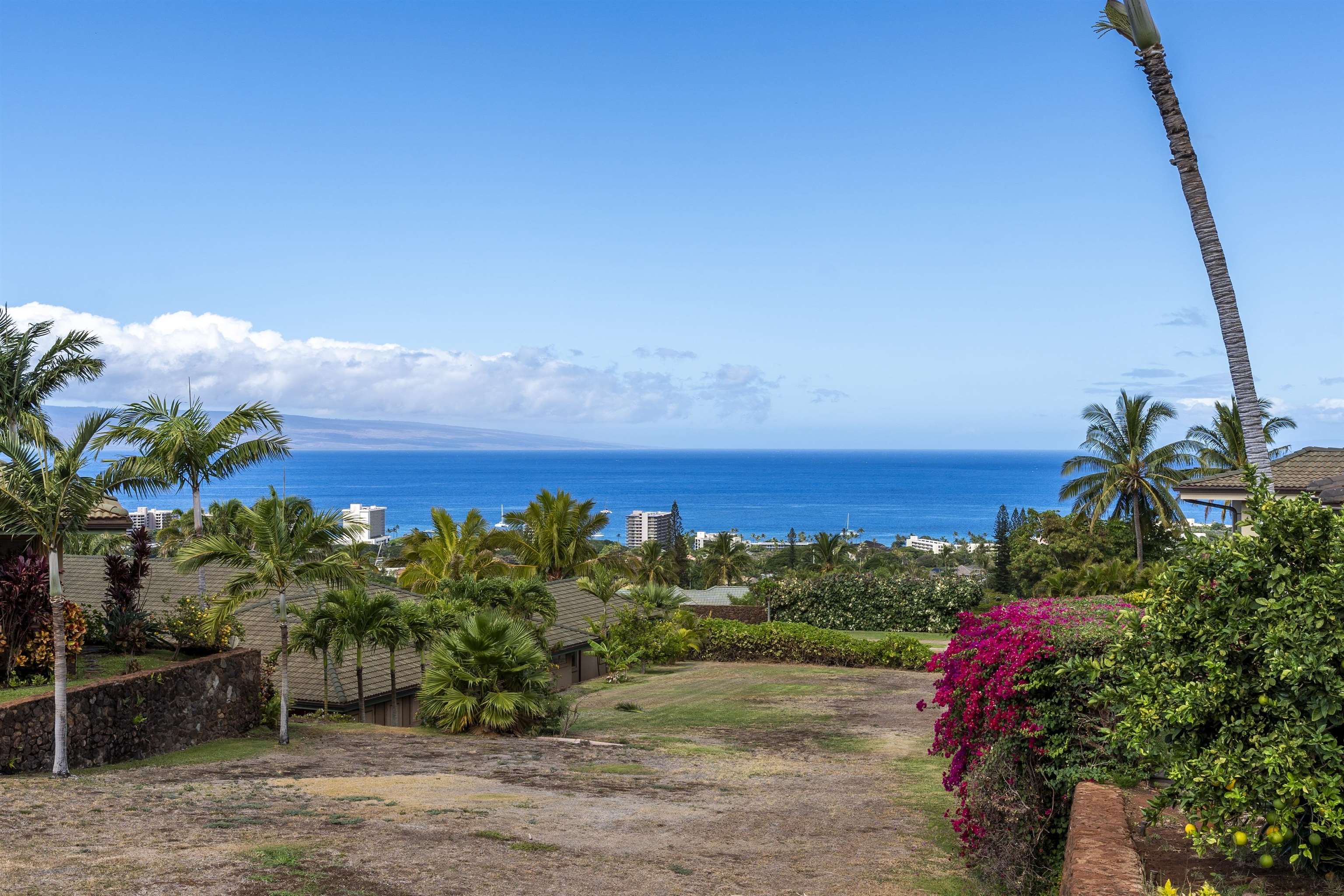 411 Wekiu Pl Property Photo 16