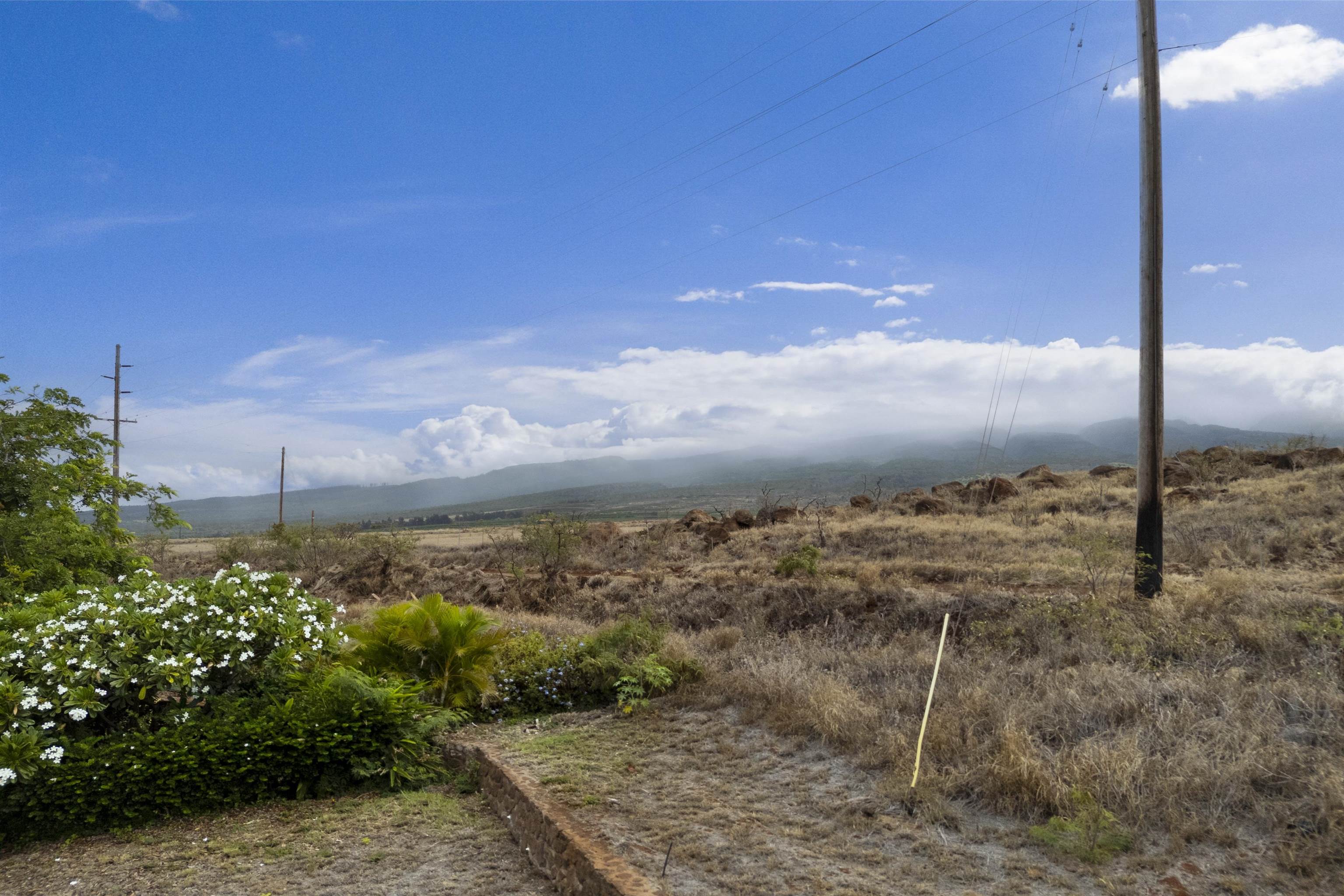 411 Wekiu Pl Property Photo 17