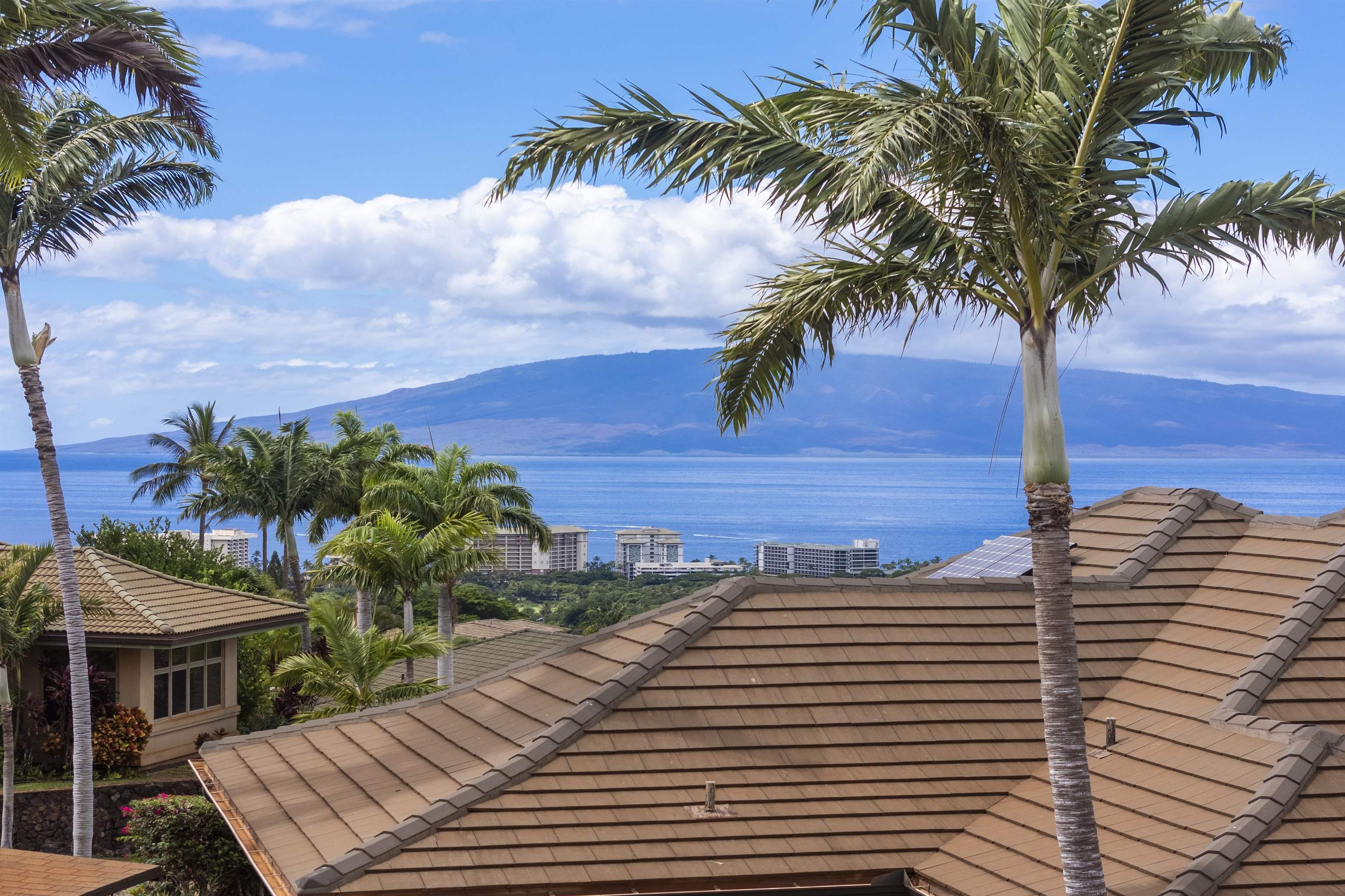 411 Wekiu Pl Property Photo 19