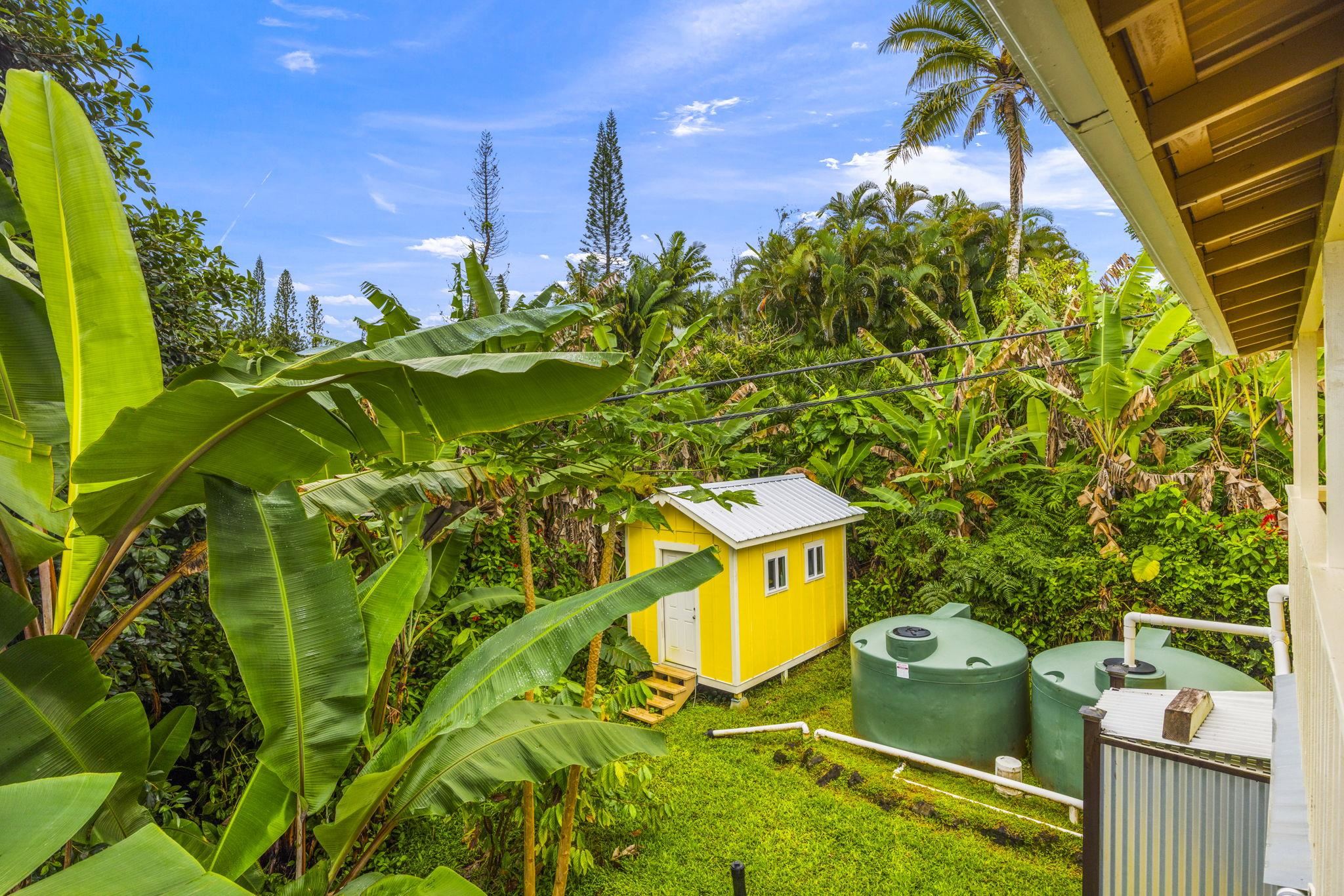 1130 Hana Hwy Property Photo 4