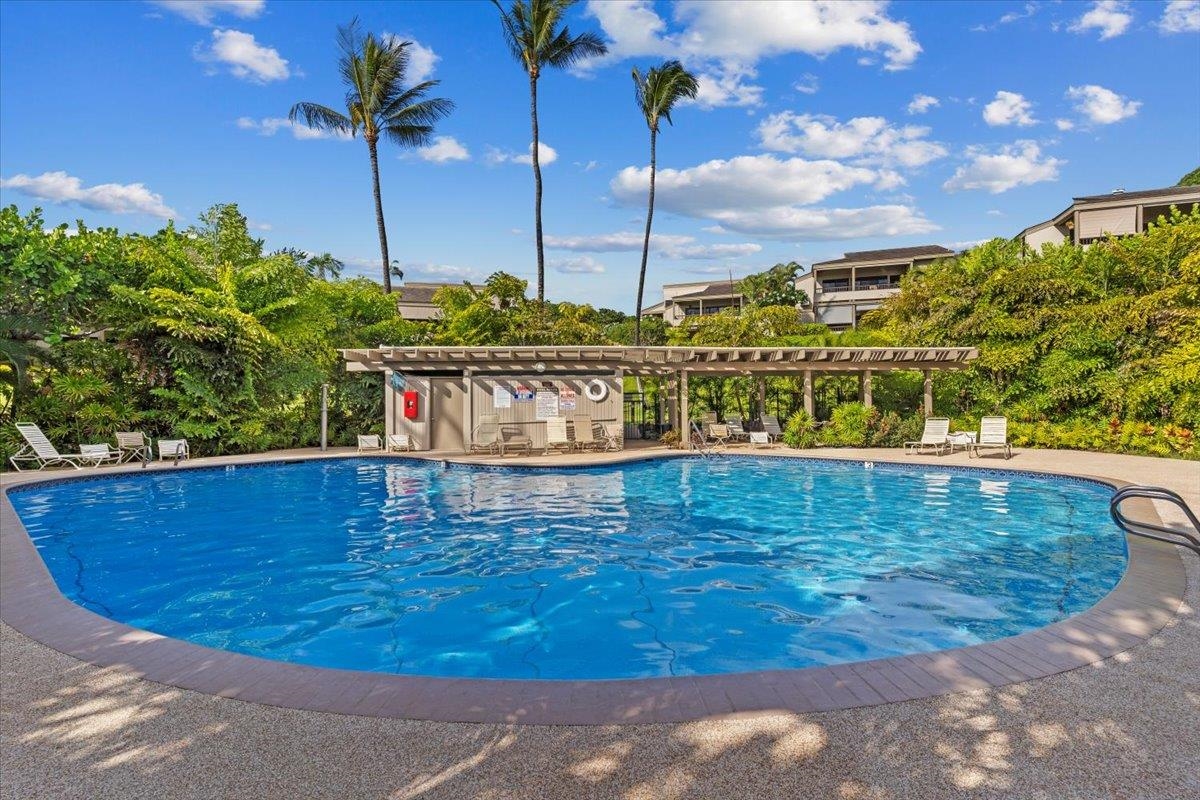10 Wailea Ekolu Pl Property Photo 43