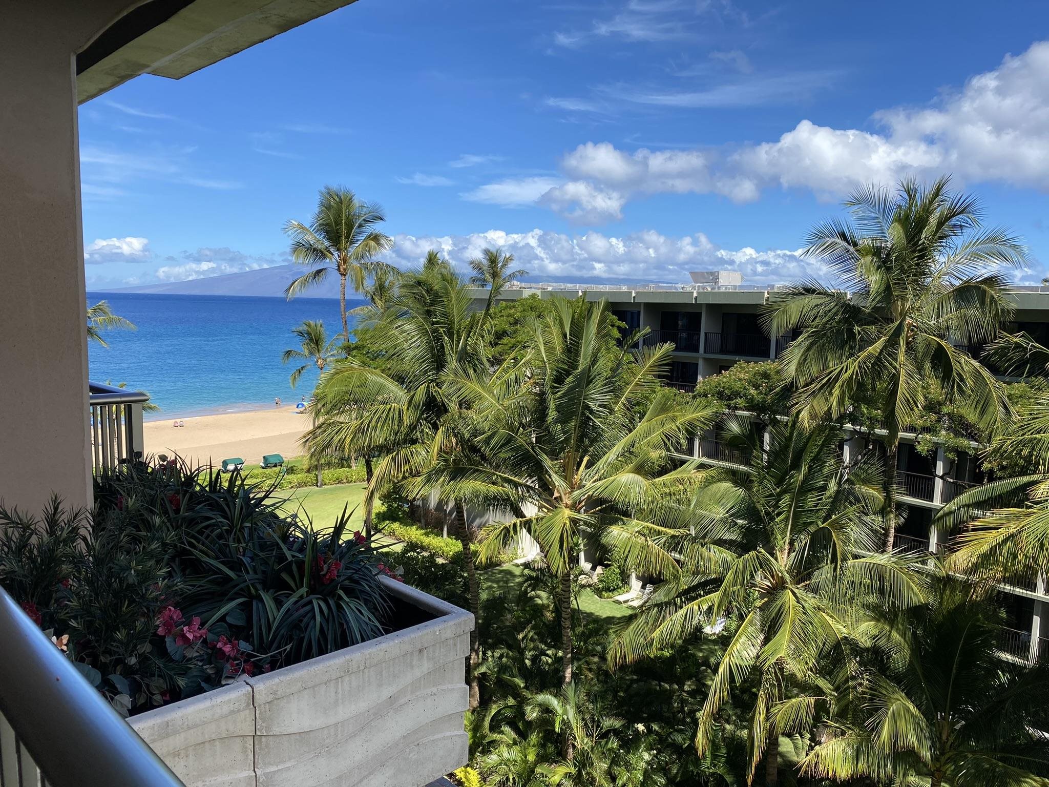 2481 Kaanapali Pkwy Property Photo 1
