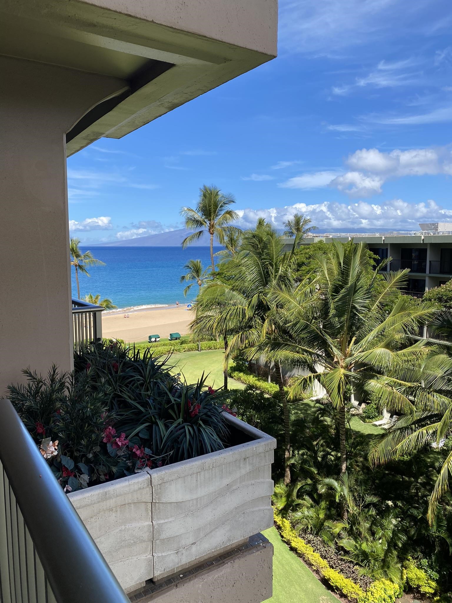 2481 Kaanapali Pkwy Property Photo 4