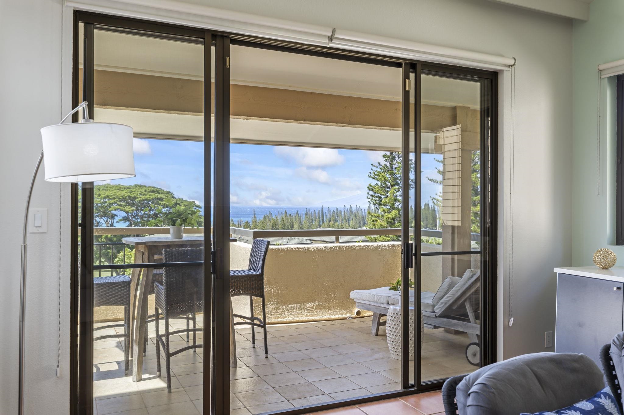 500 Kapalua Dr Property Photo 18