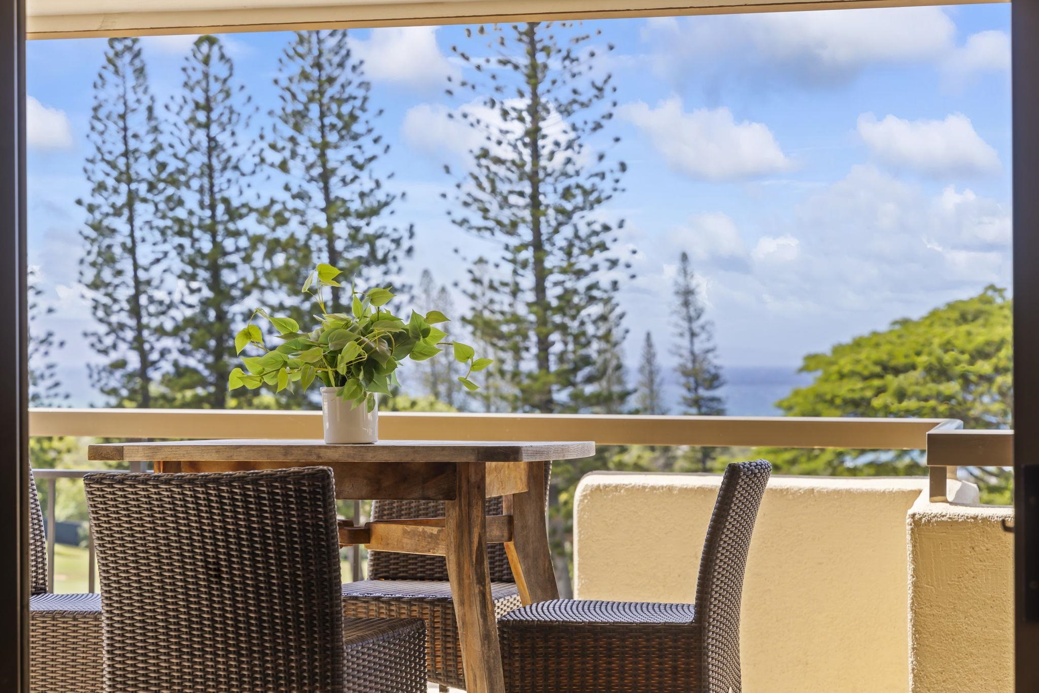500 Kapalua Dr Property Photo 19