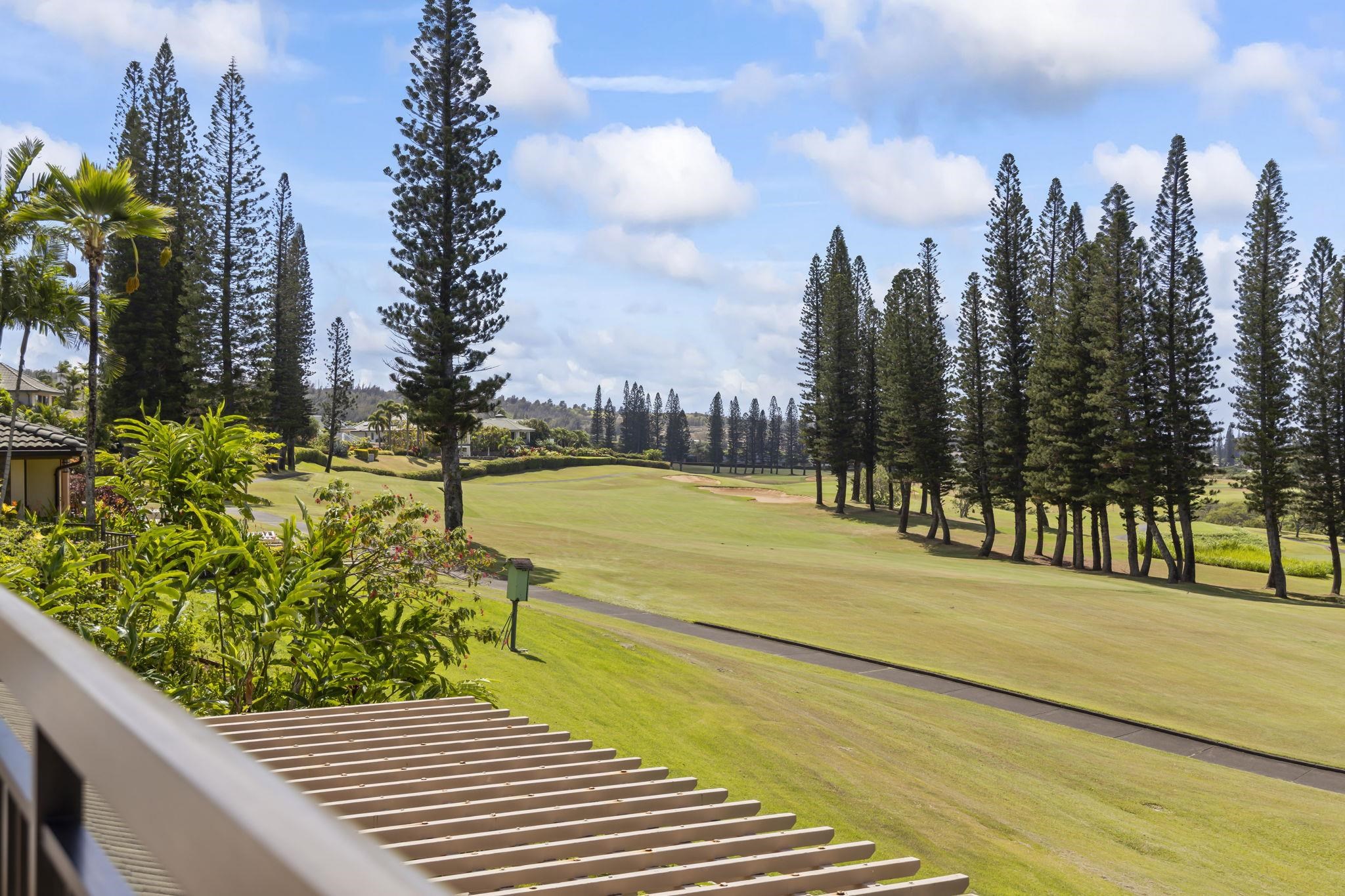 500 Kapalua Dr Property Photo 24