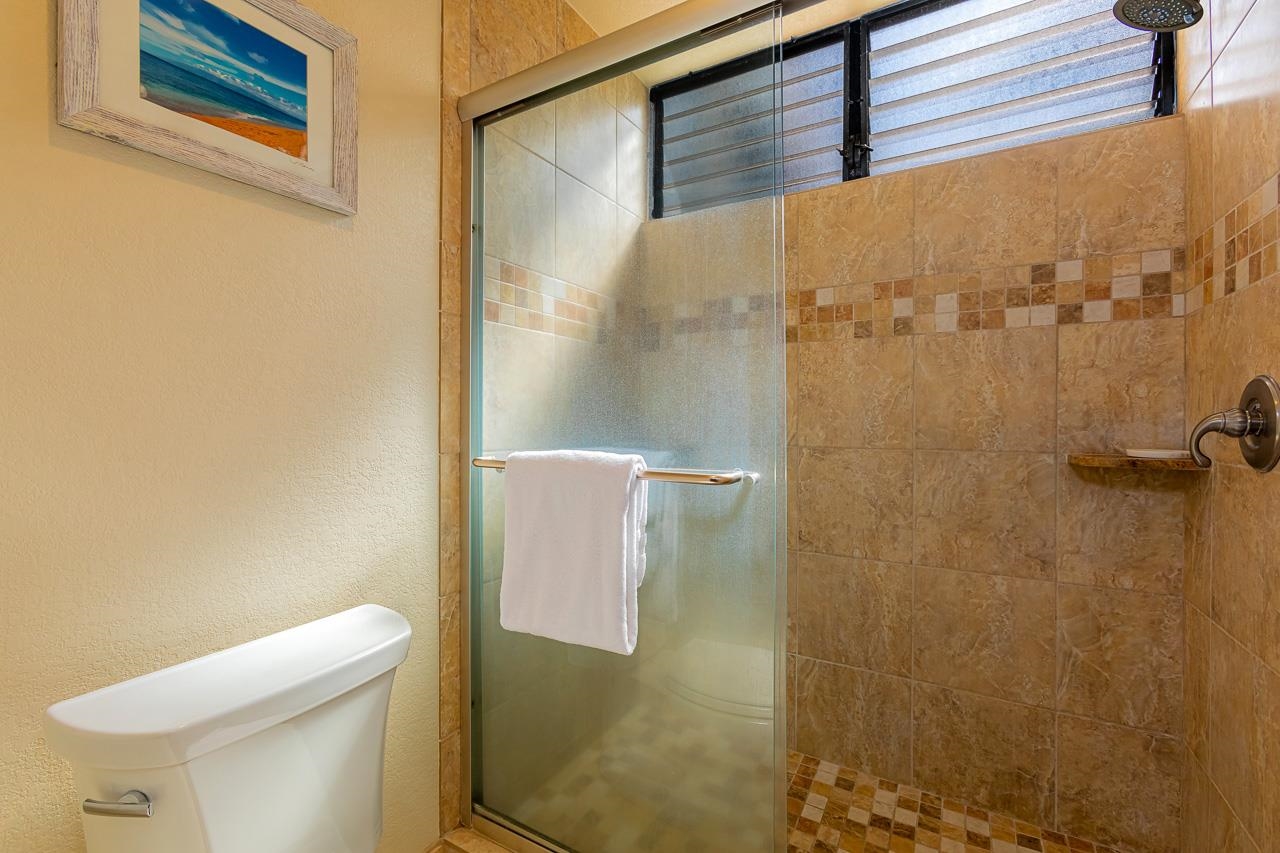 155 Wailea Ike Pl Property Photo 17