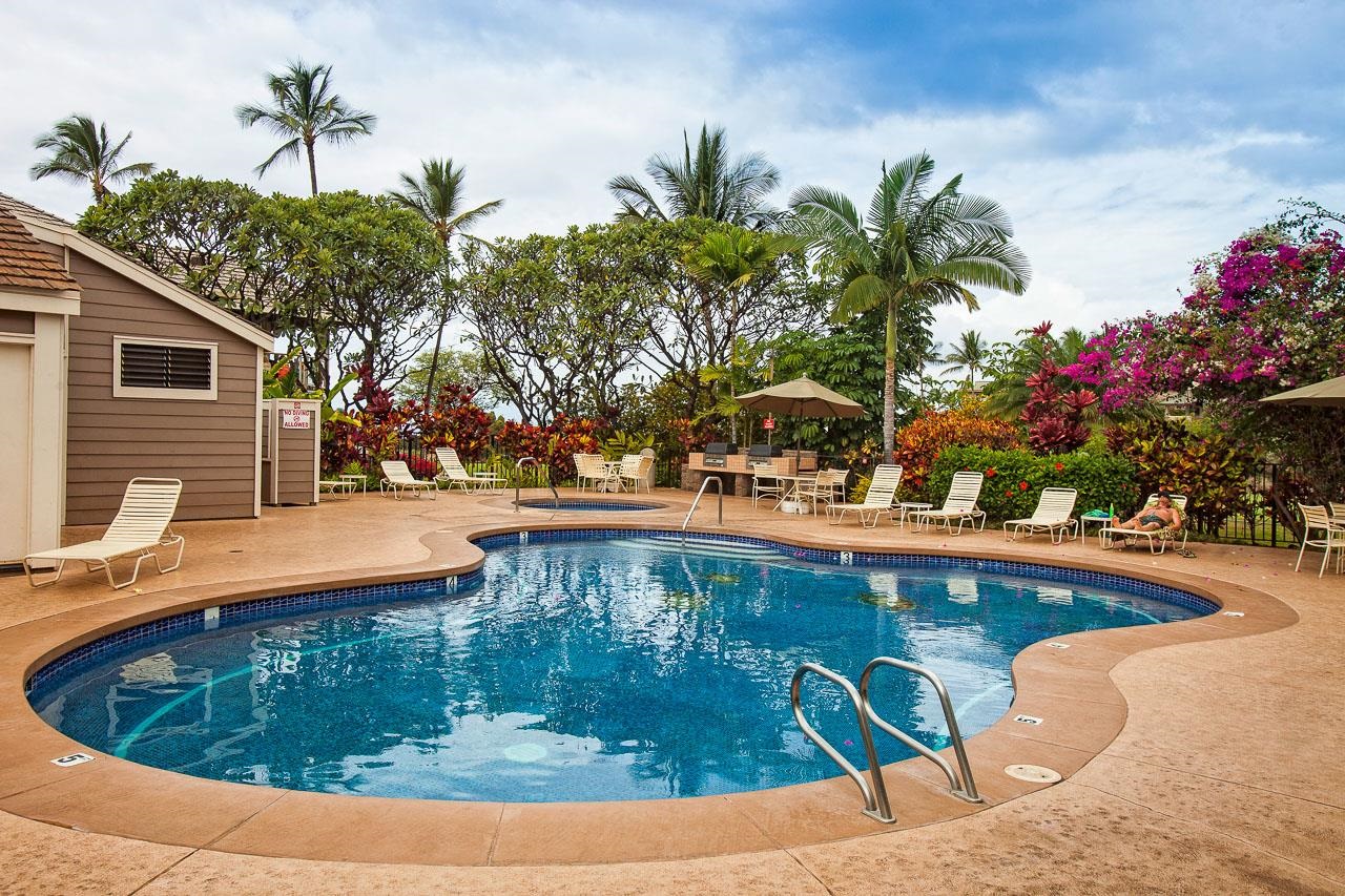 155 Wailea Ike Pl Property Photo 28