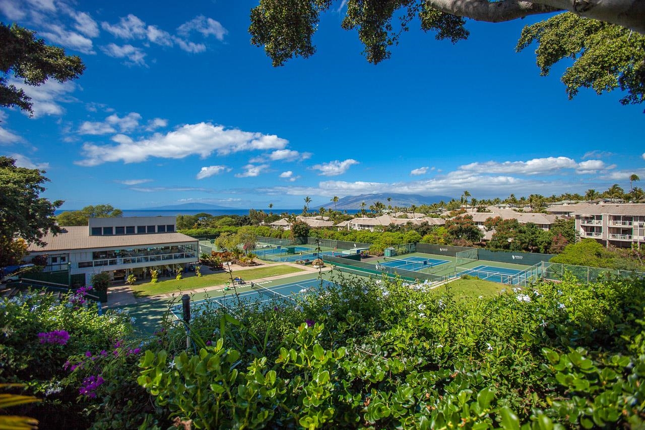 155 Wailea Ike Pl Property Photo 39