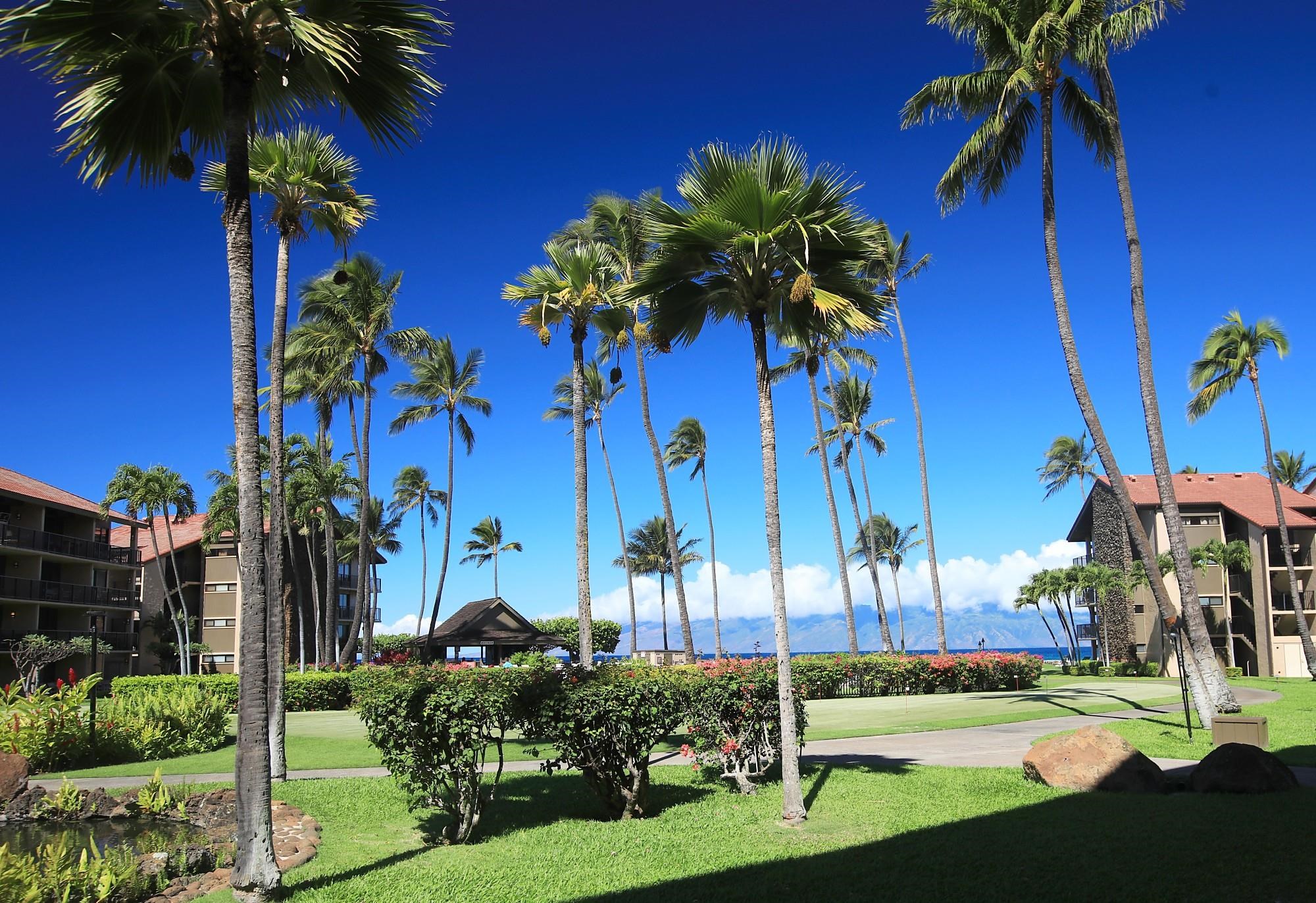 3543 Lower Honoapiilani Rd Property Photo 24