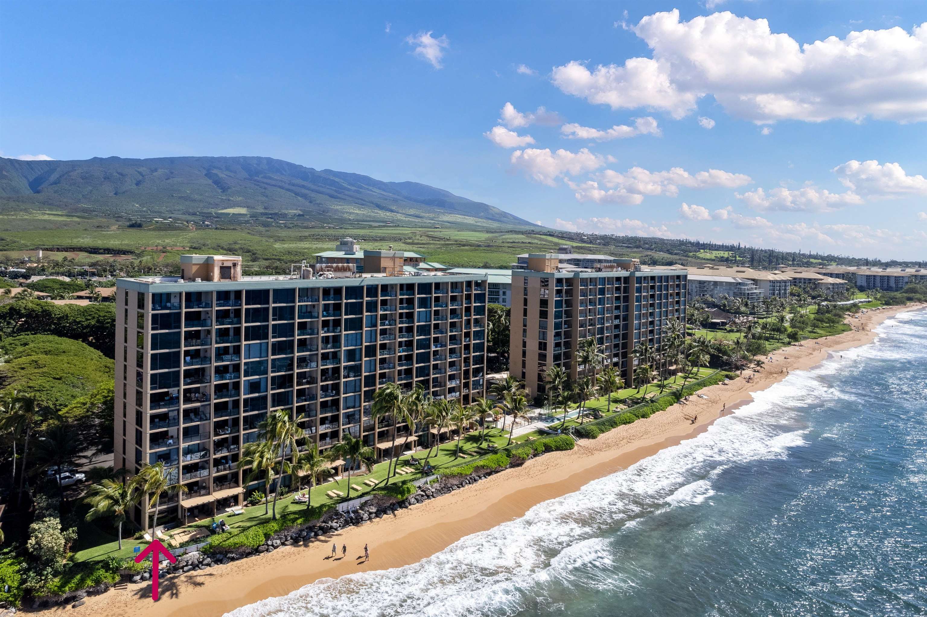 110 Kaanapali Shores Pl Property Photo 39