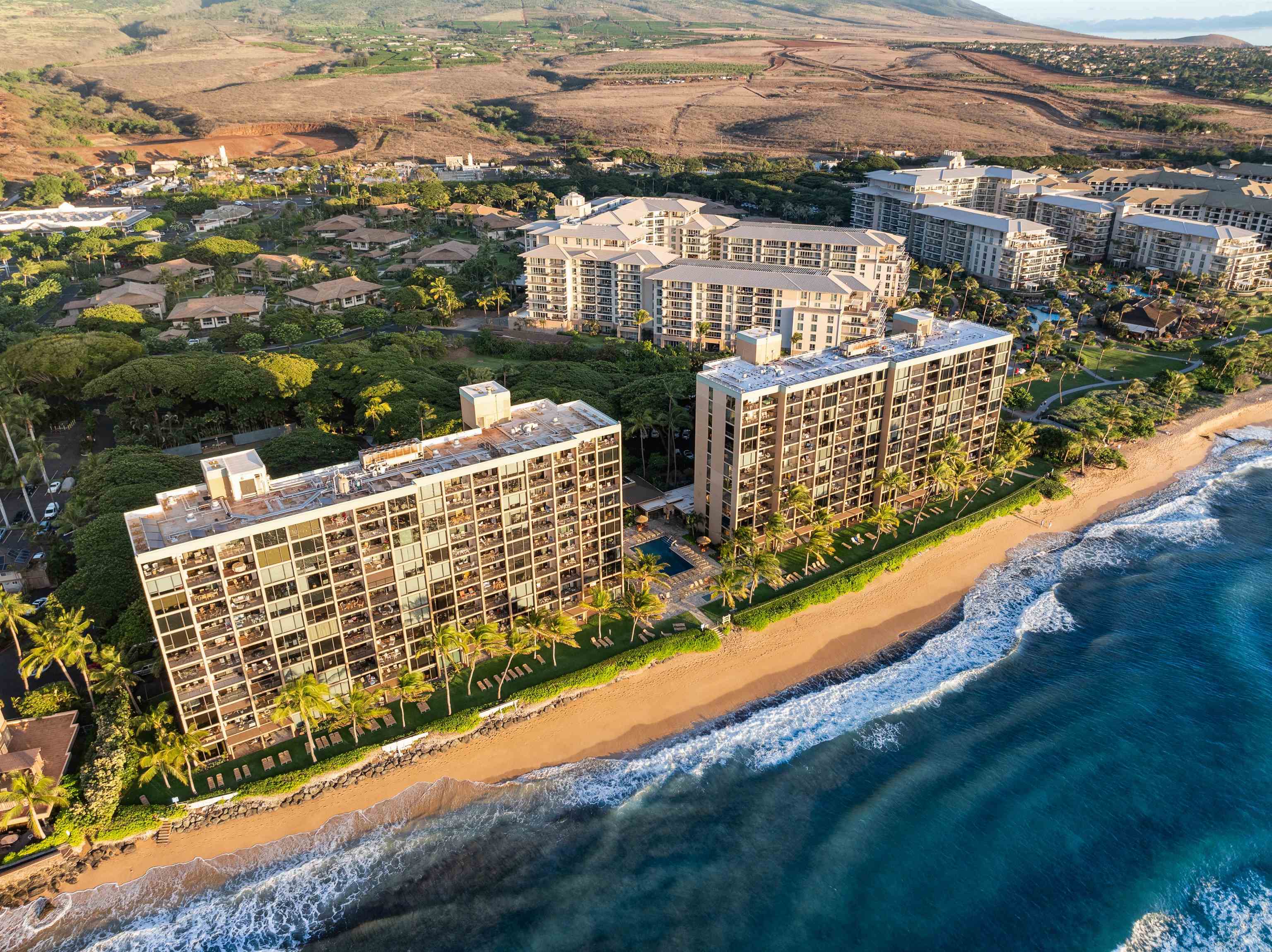 110 Kaanapali Shores Pl Property Photo 41