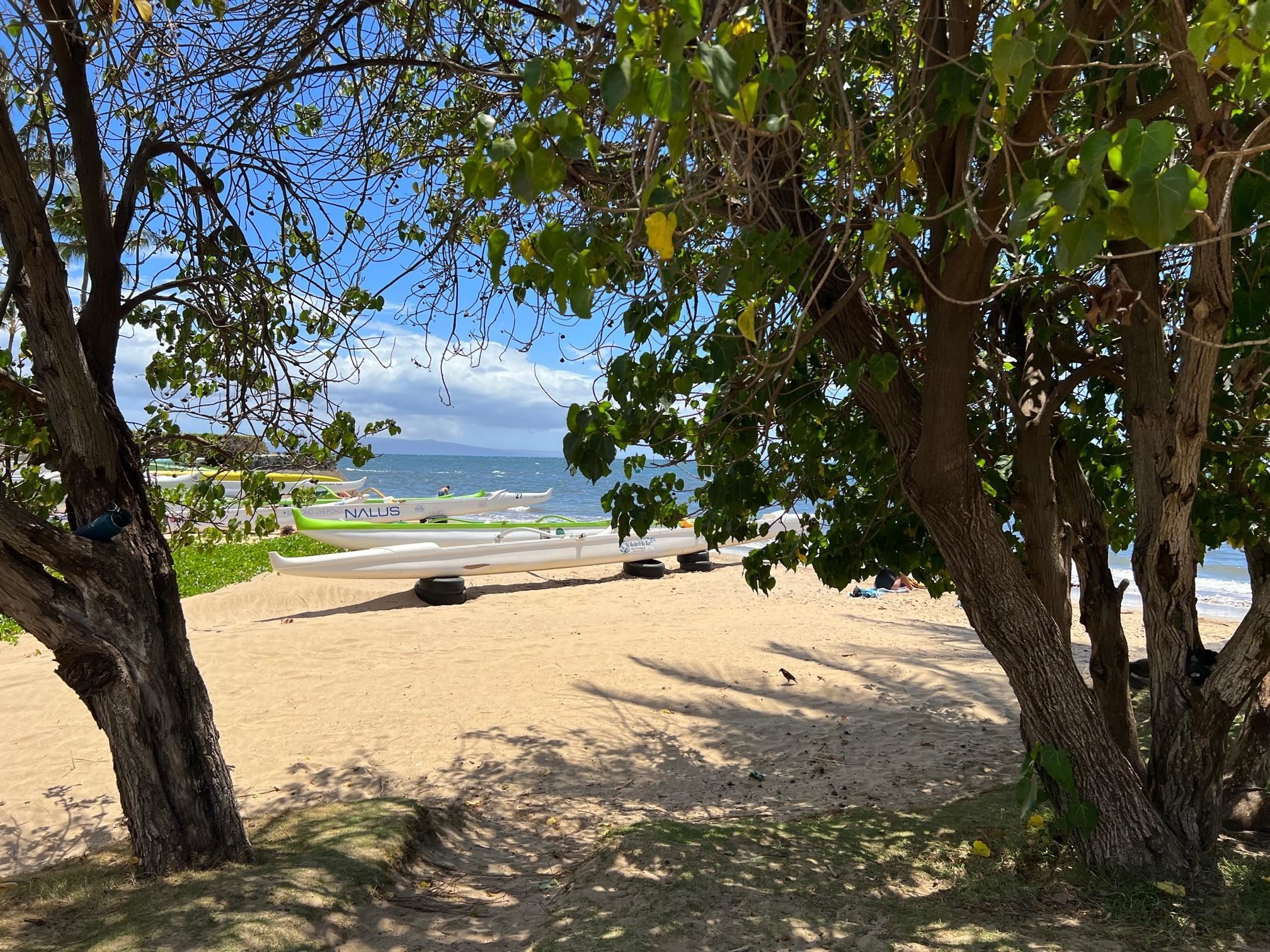 715 S Kihei Rd Property Photo 48