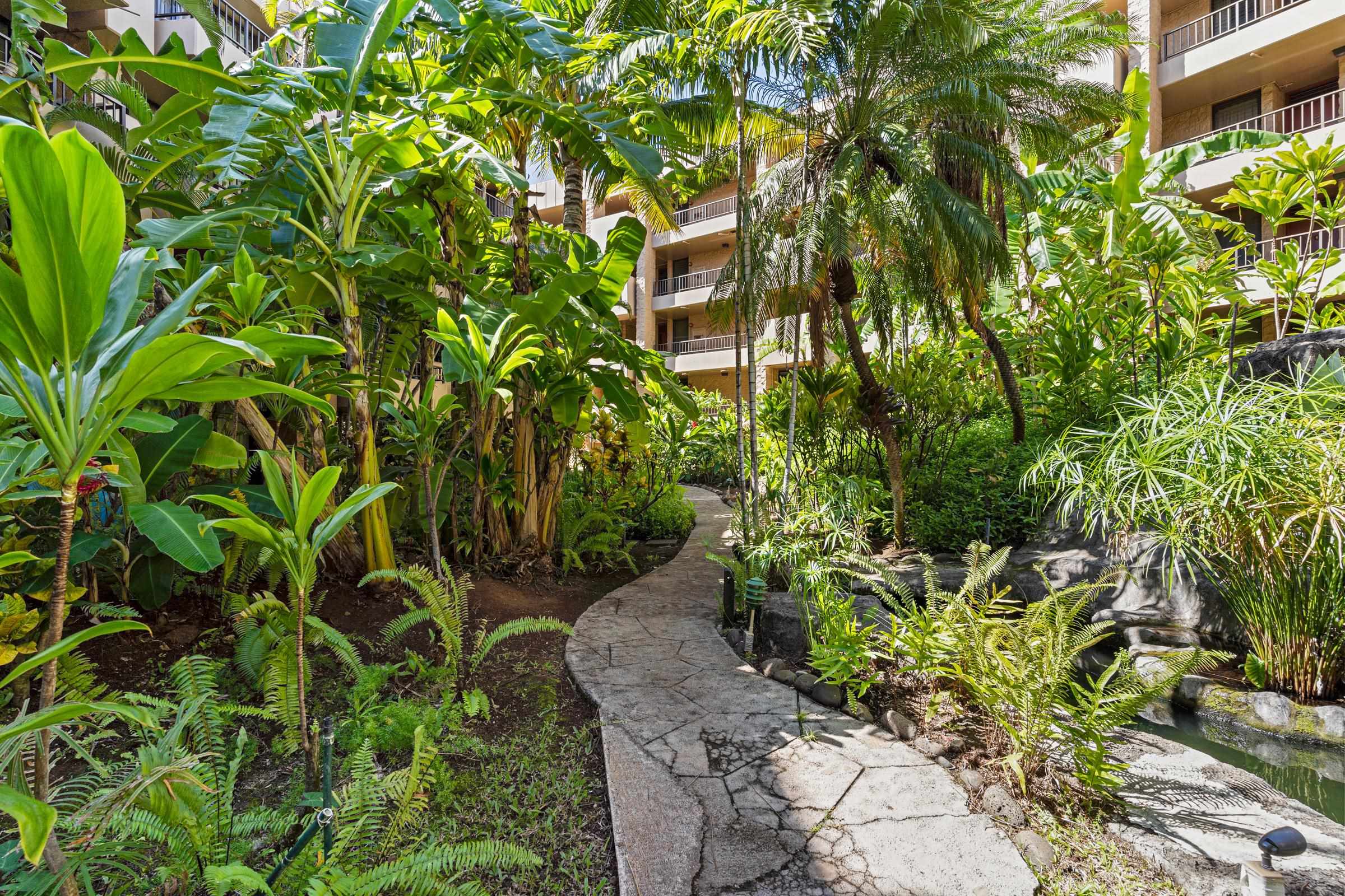 3601 Lower Honoapiilani Rd Property Photo 29
