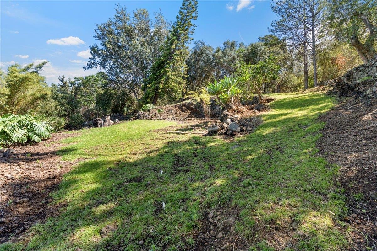 8445 Kula Hwy Property Photo 41