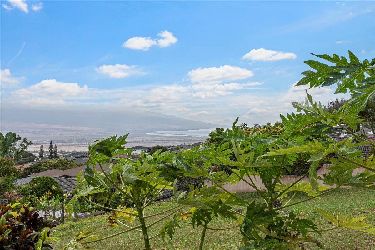 545 Iiwi Way Property Photo 22