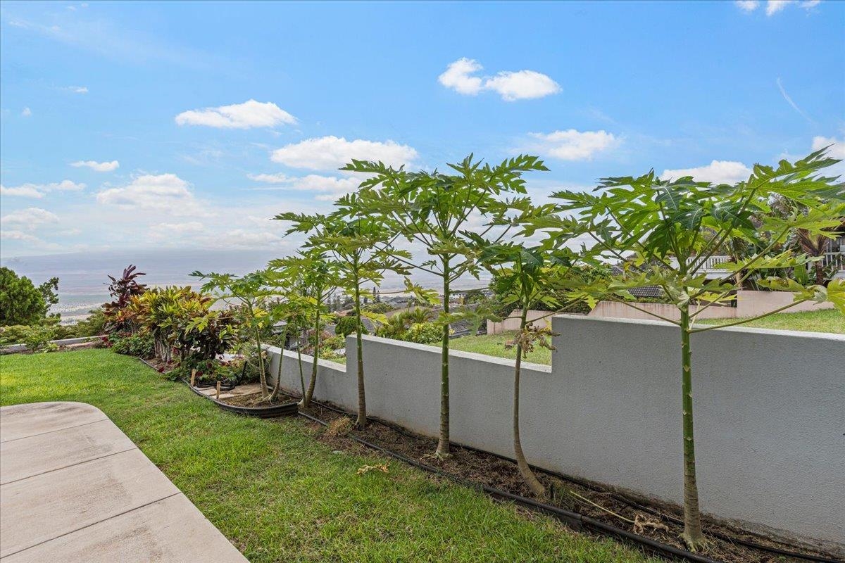 545 Iiwi Way Property Photo 44