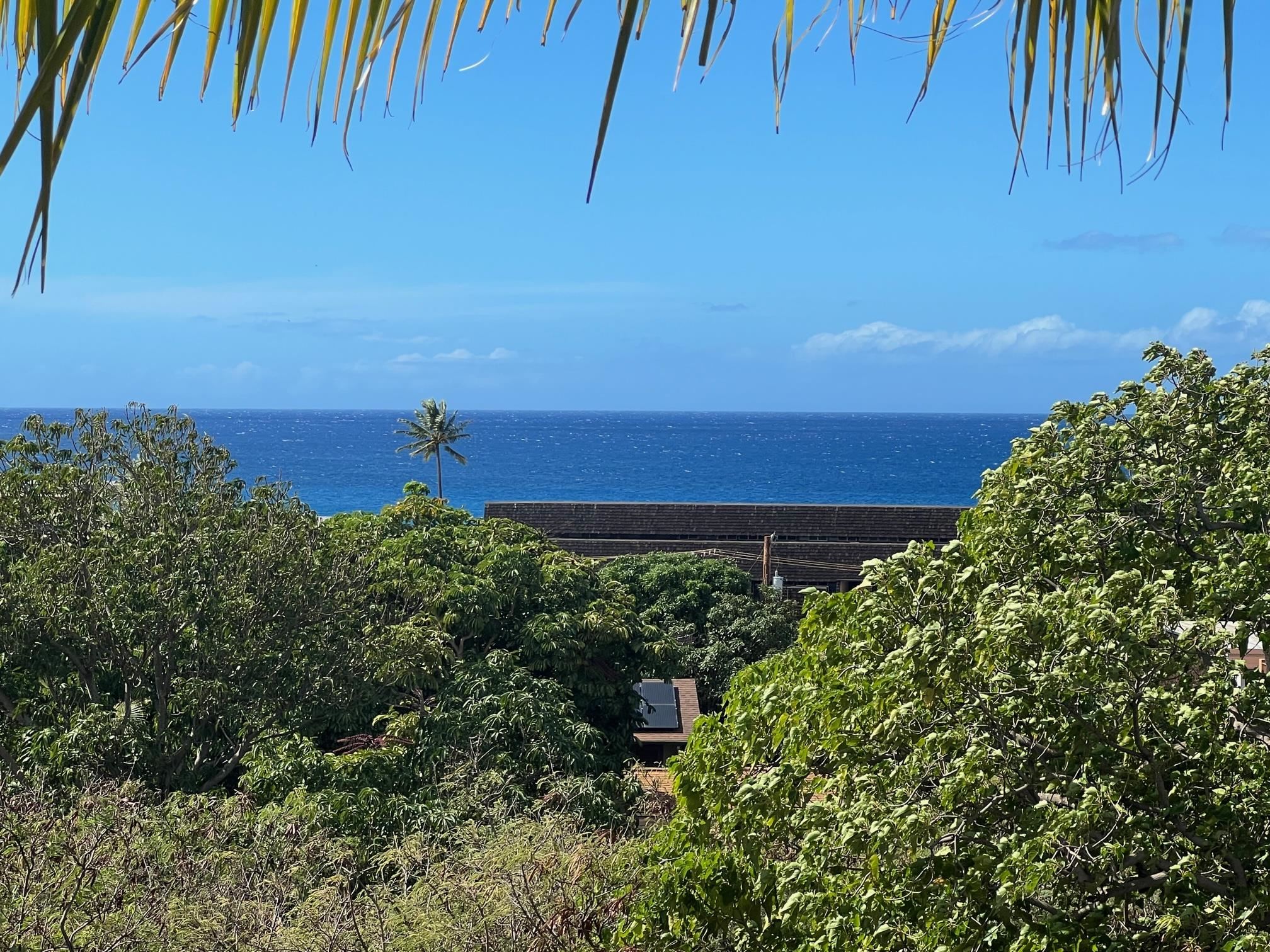 3740 Lower Honoapiilani Rd Property Photo 1