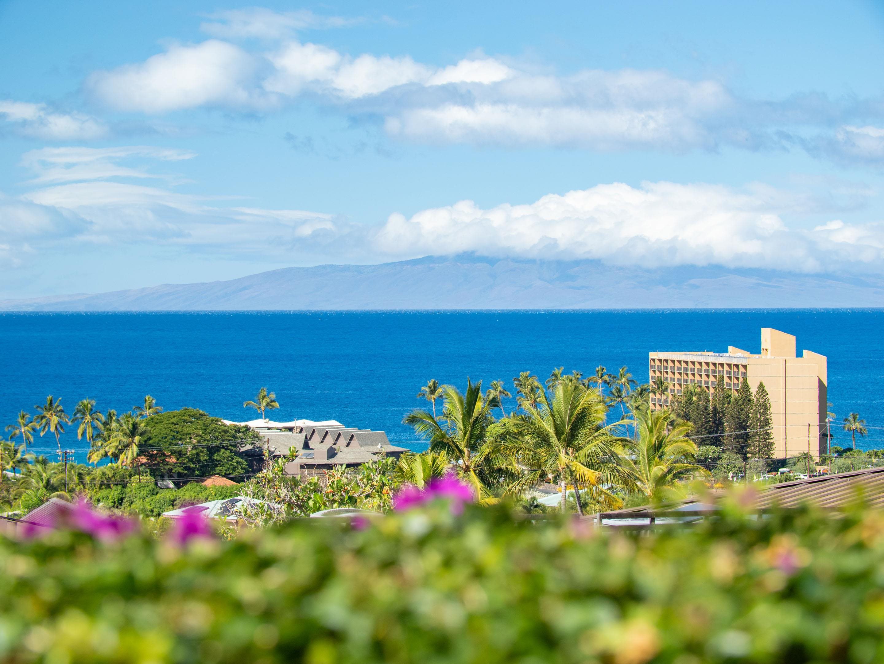 3100 Wailea Alanui Dr Property Photo 6