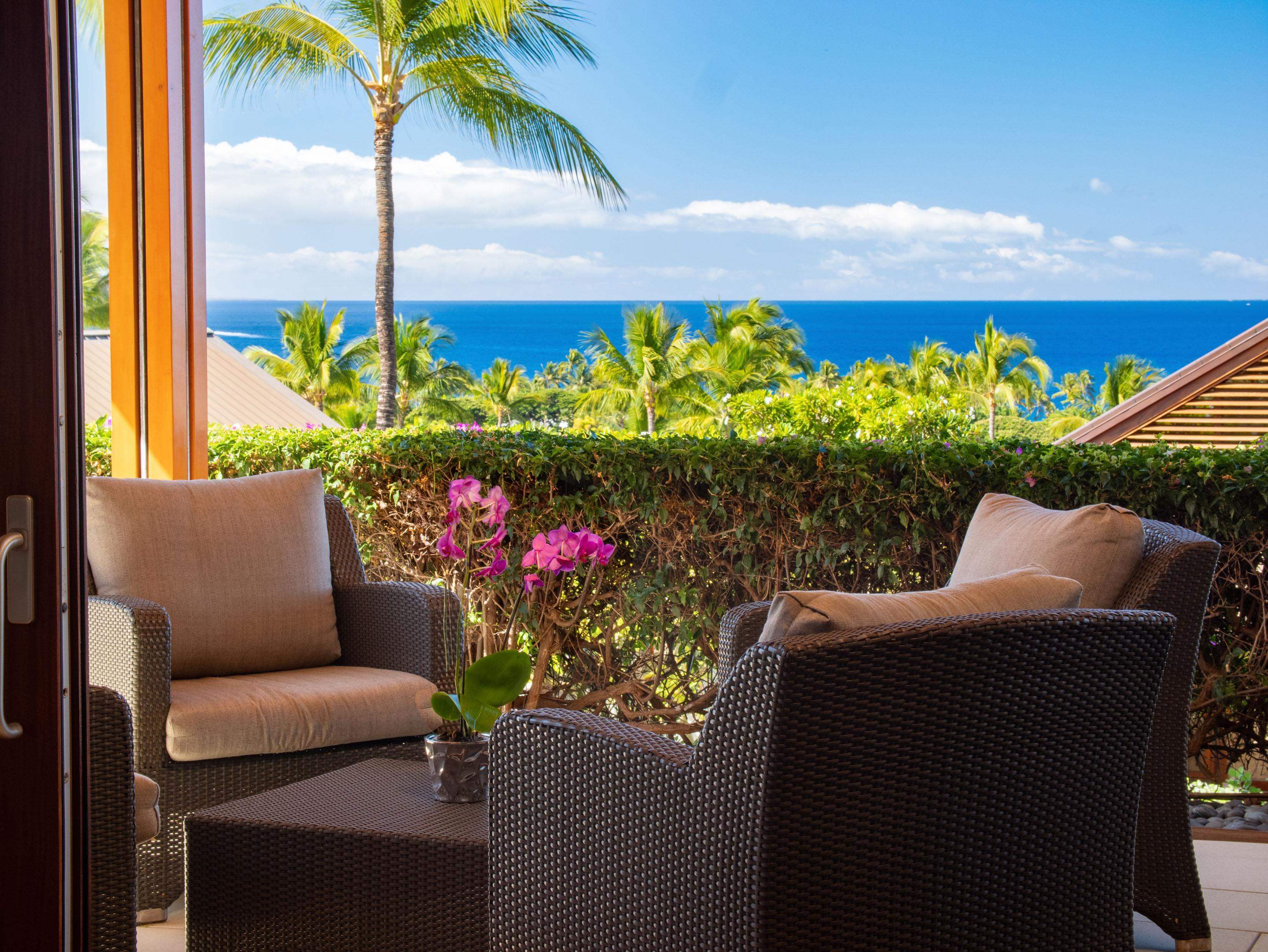 3100 Wailea Alanui Dr Property Photo 10