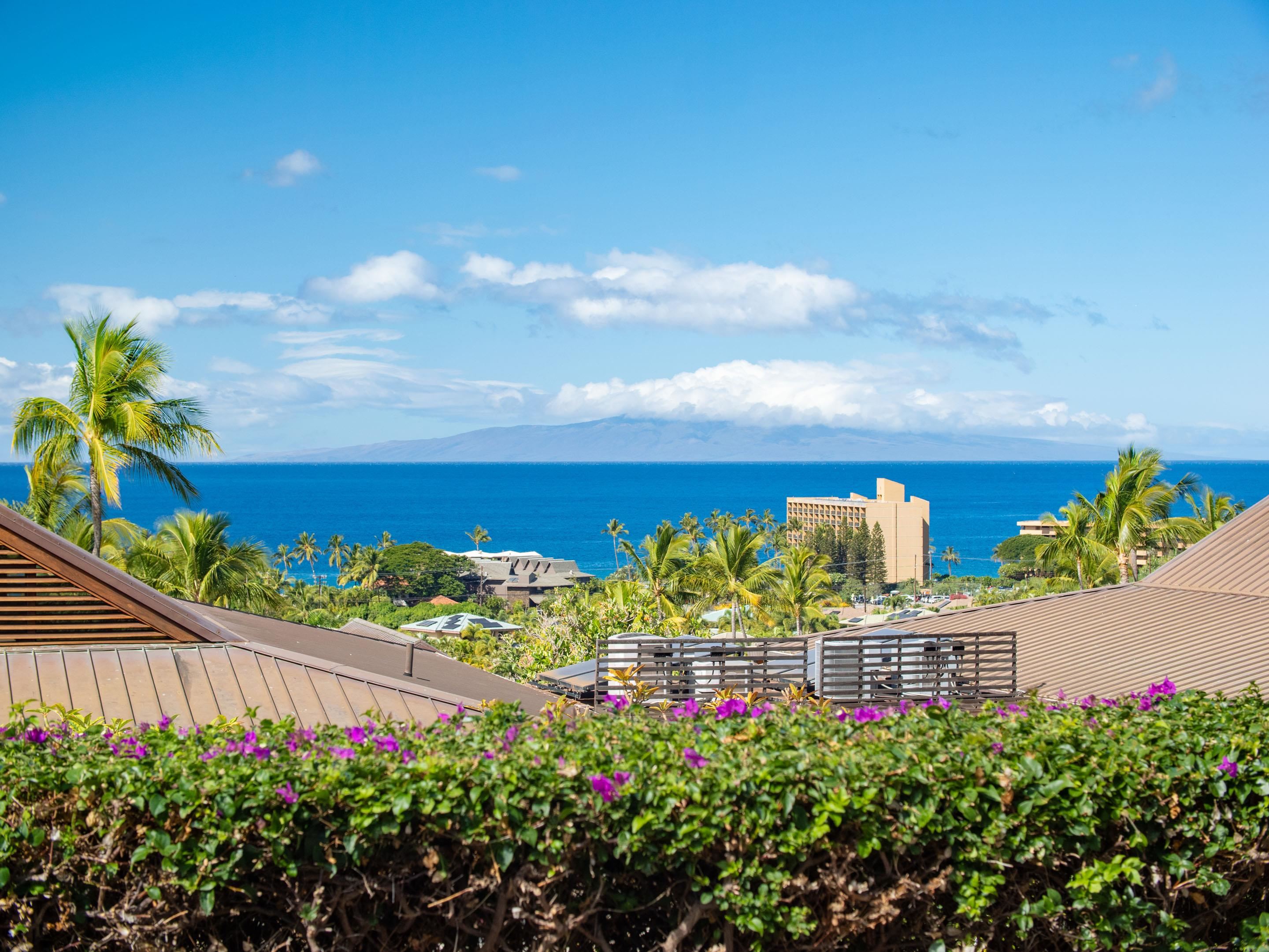 3100 Wailea Alanui Dr Property Photo 22