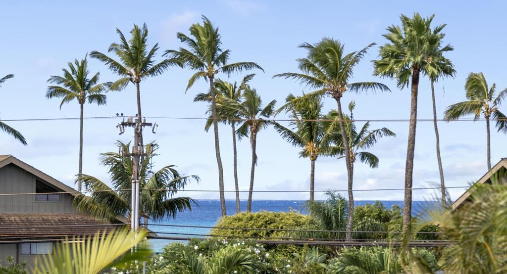 42 Hua Nui Way Property Photo 38