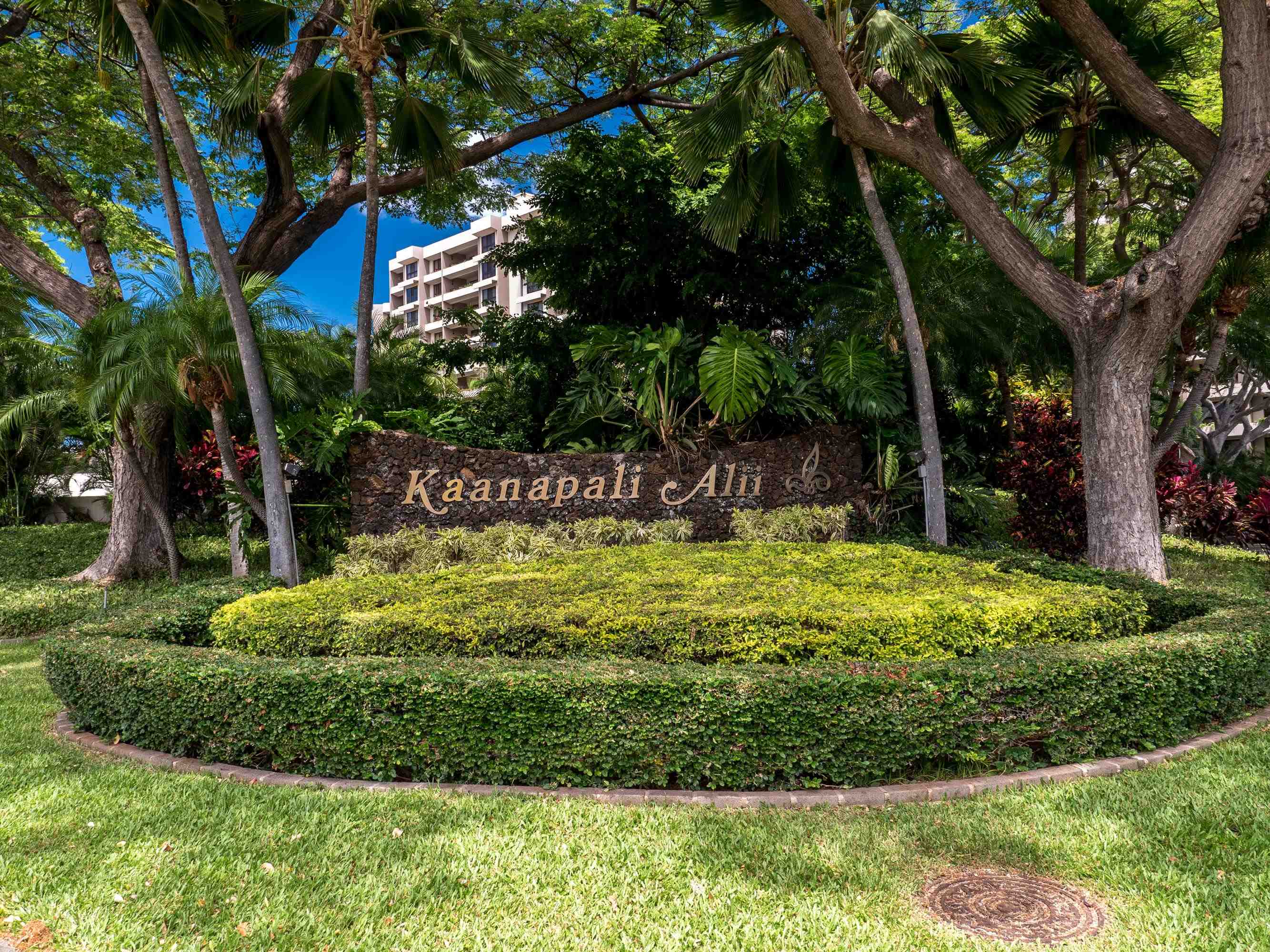 50 Nohea Kai Dr Property Photo 24