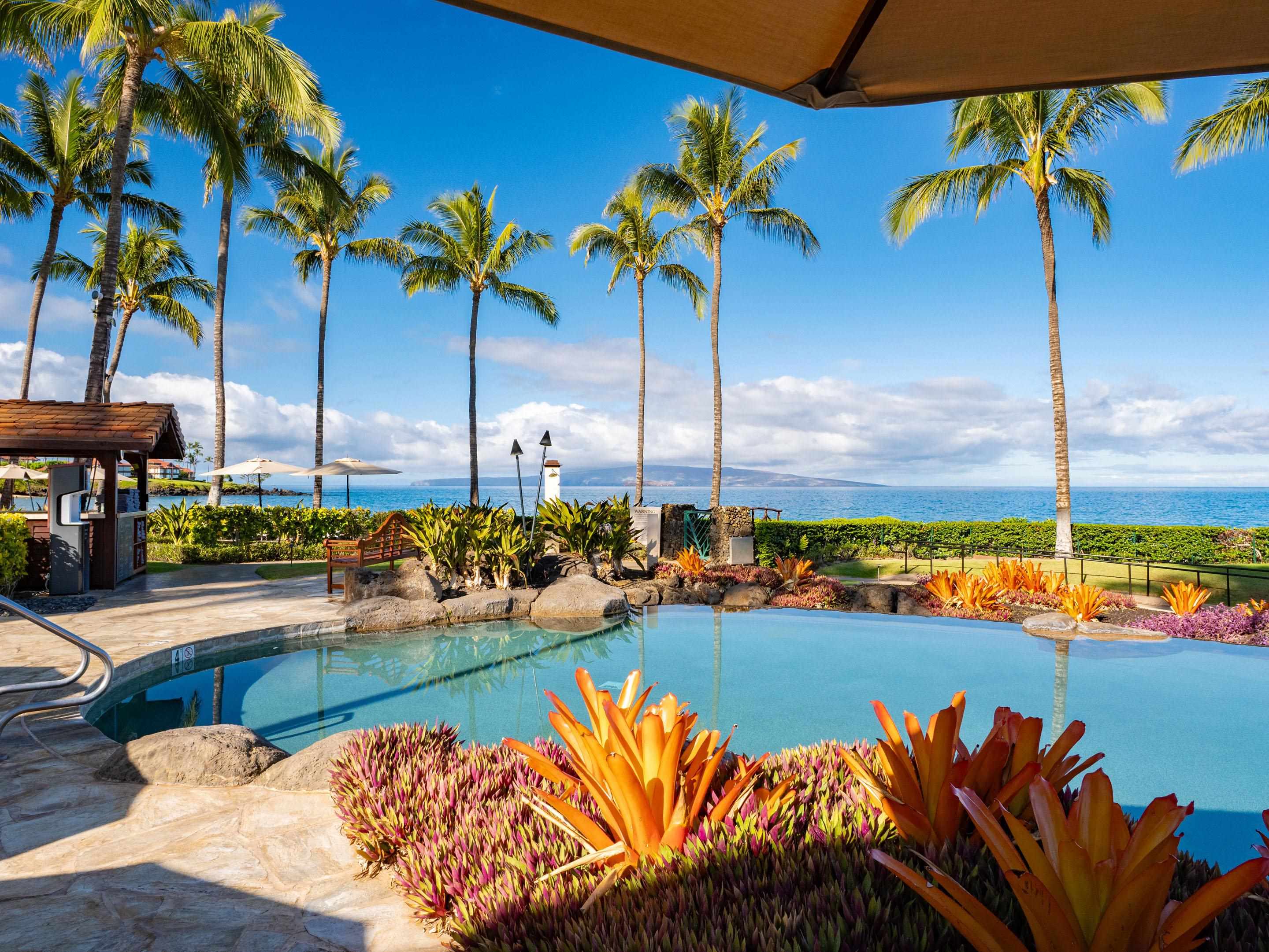 3800 Wailea Alanui Blvd Property Photo 45