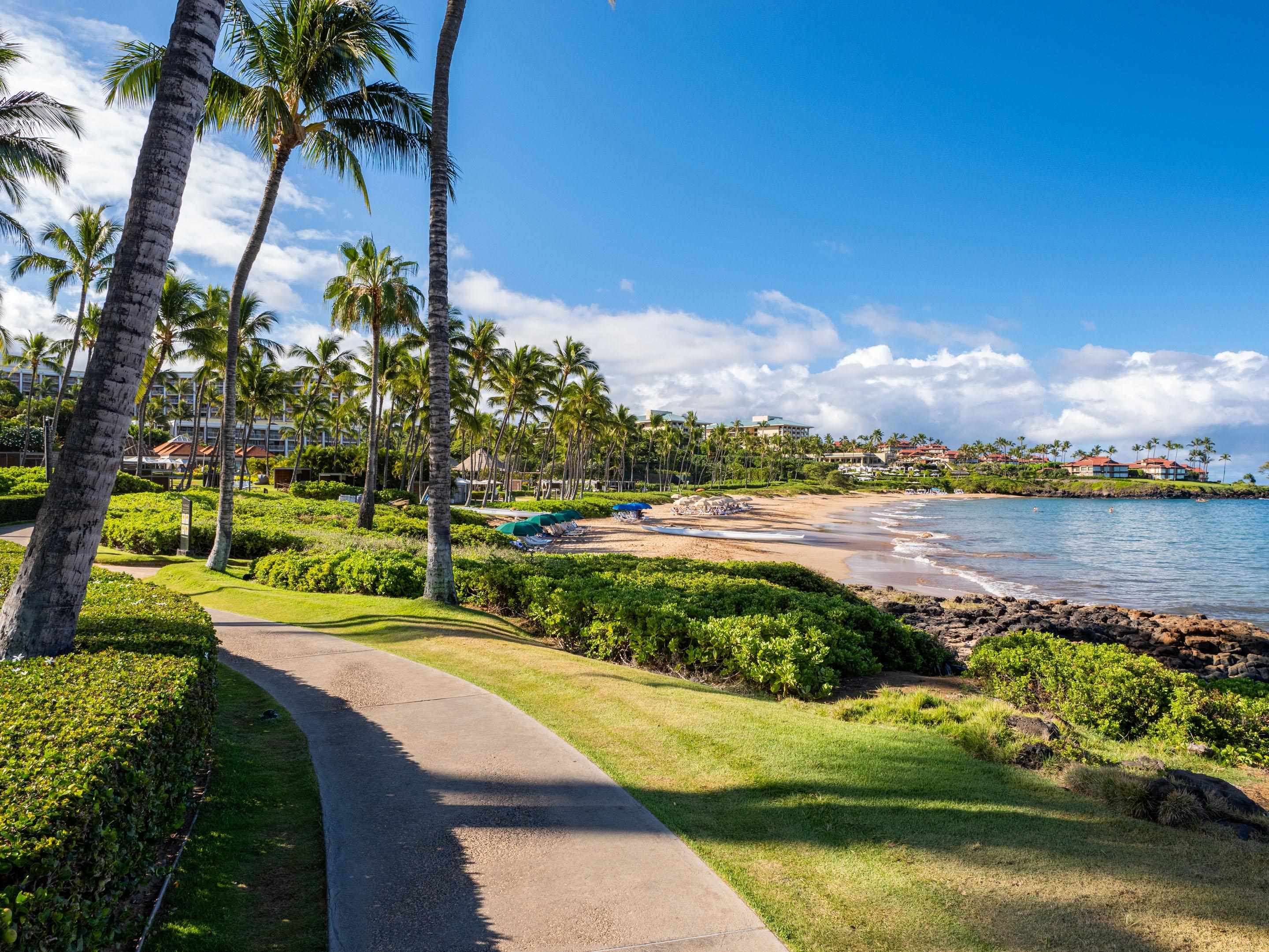 3800 Wailea Alanui Blvd Property Photo 49