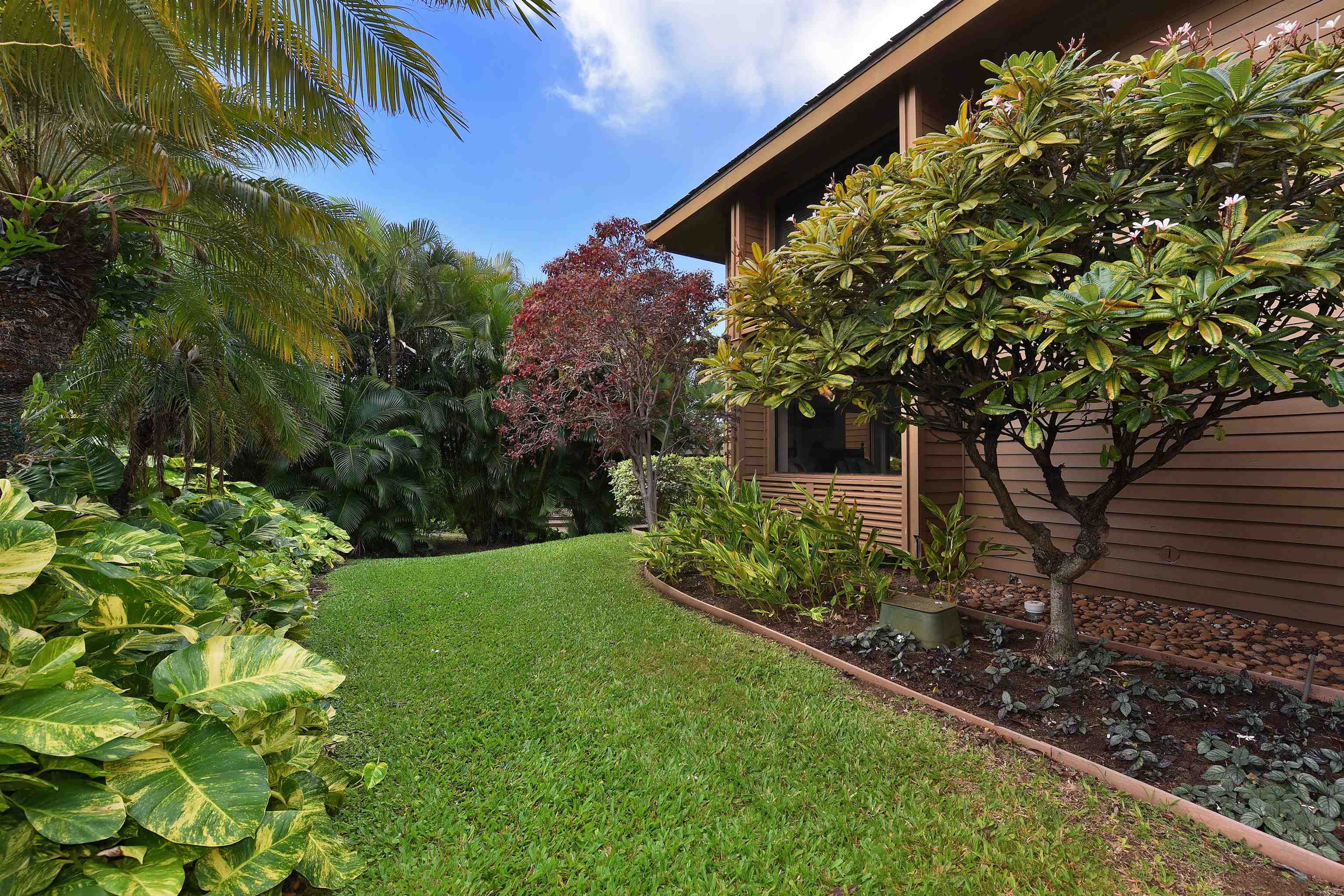 50 Puu Anoano St Property Photo 28