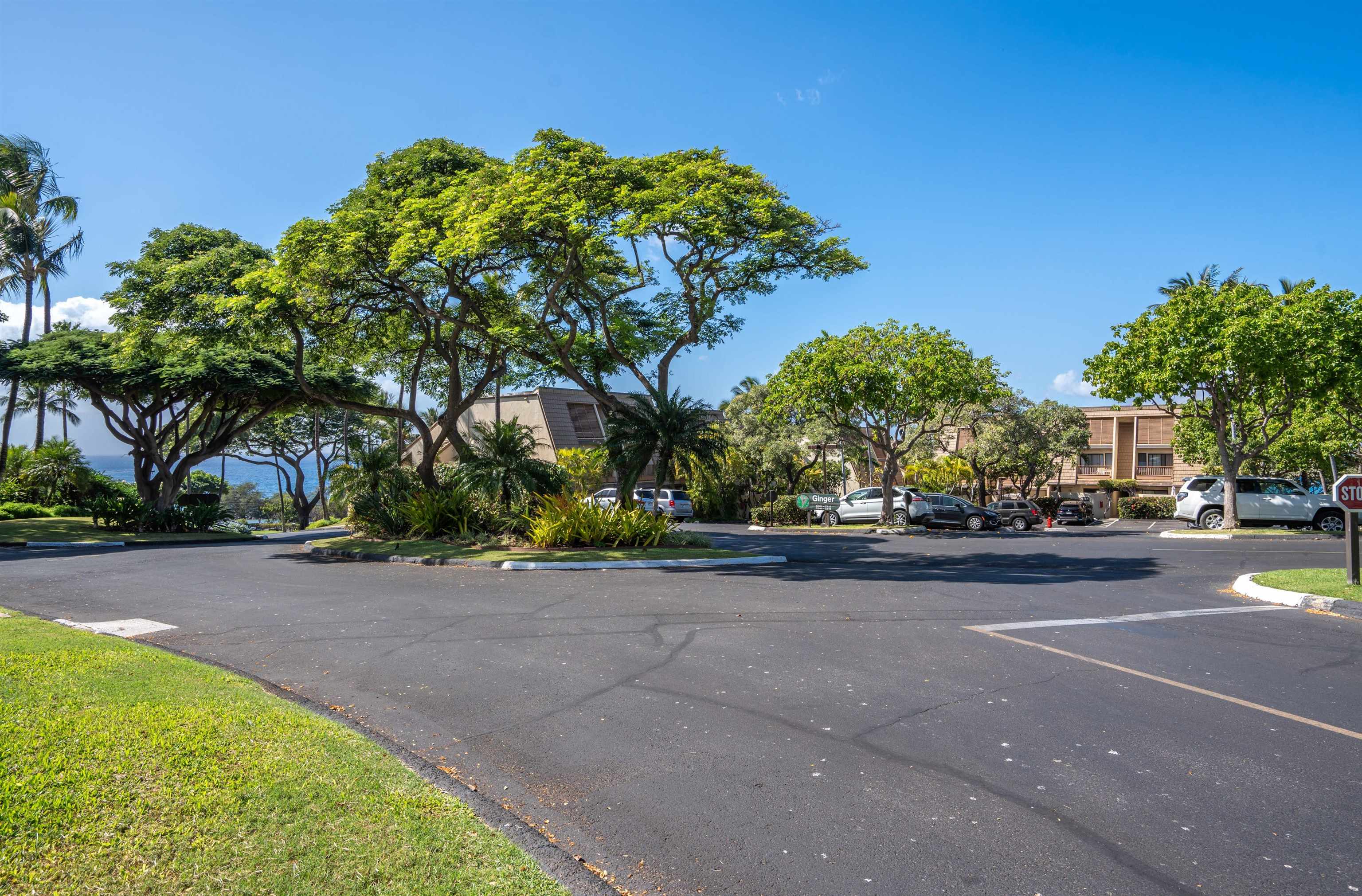 2777 S Kihei Rd Property Photo 50