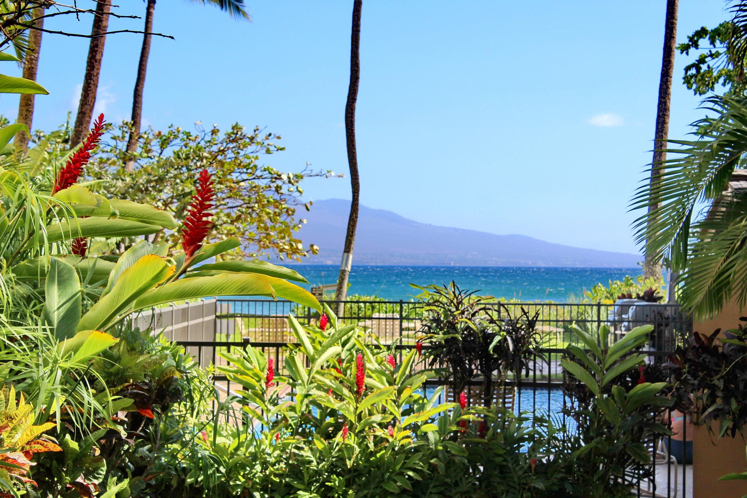 300 Hauoli St Property Photo 1