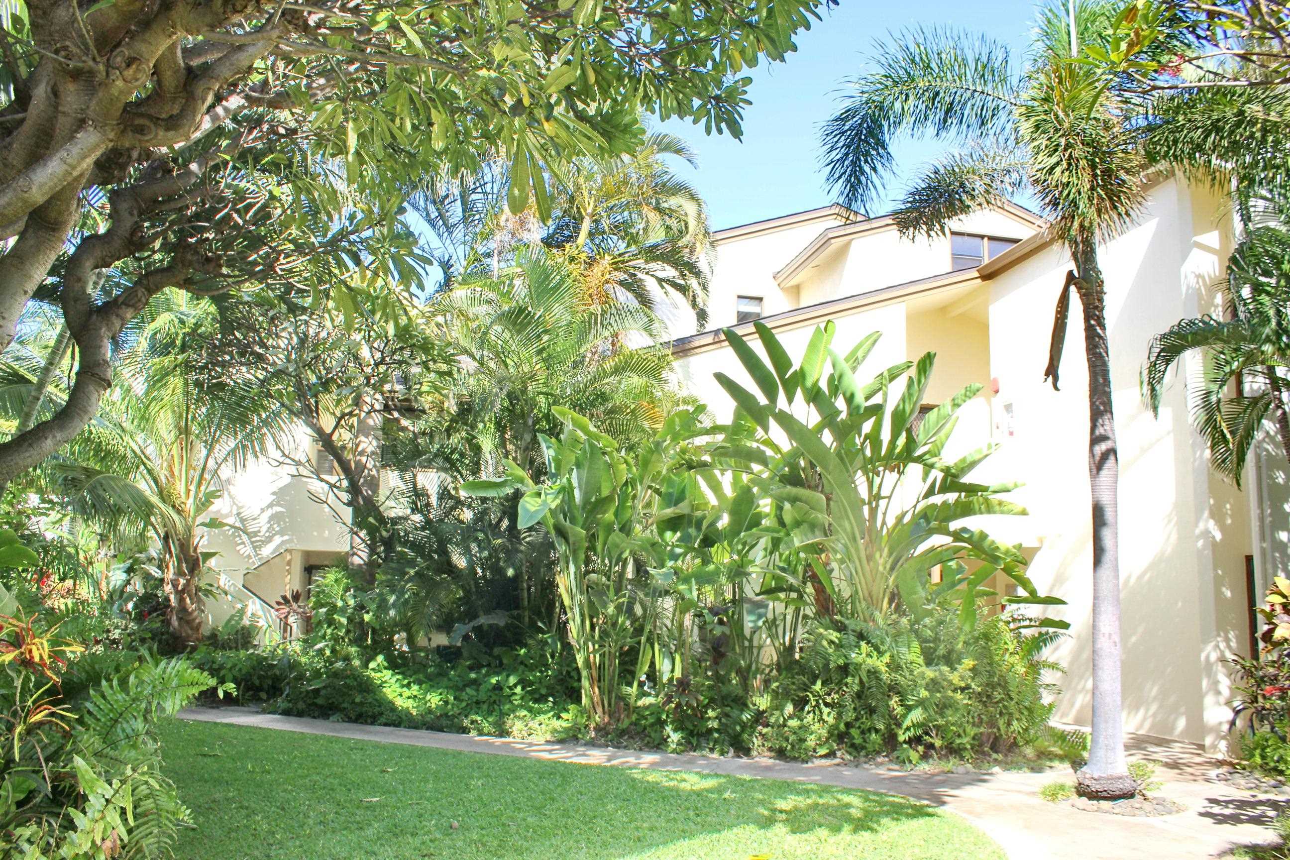 300 Hauoli St Property Photo 3