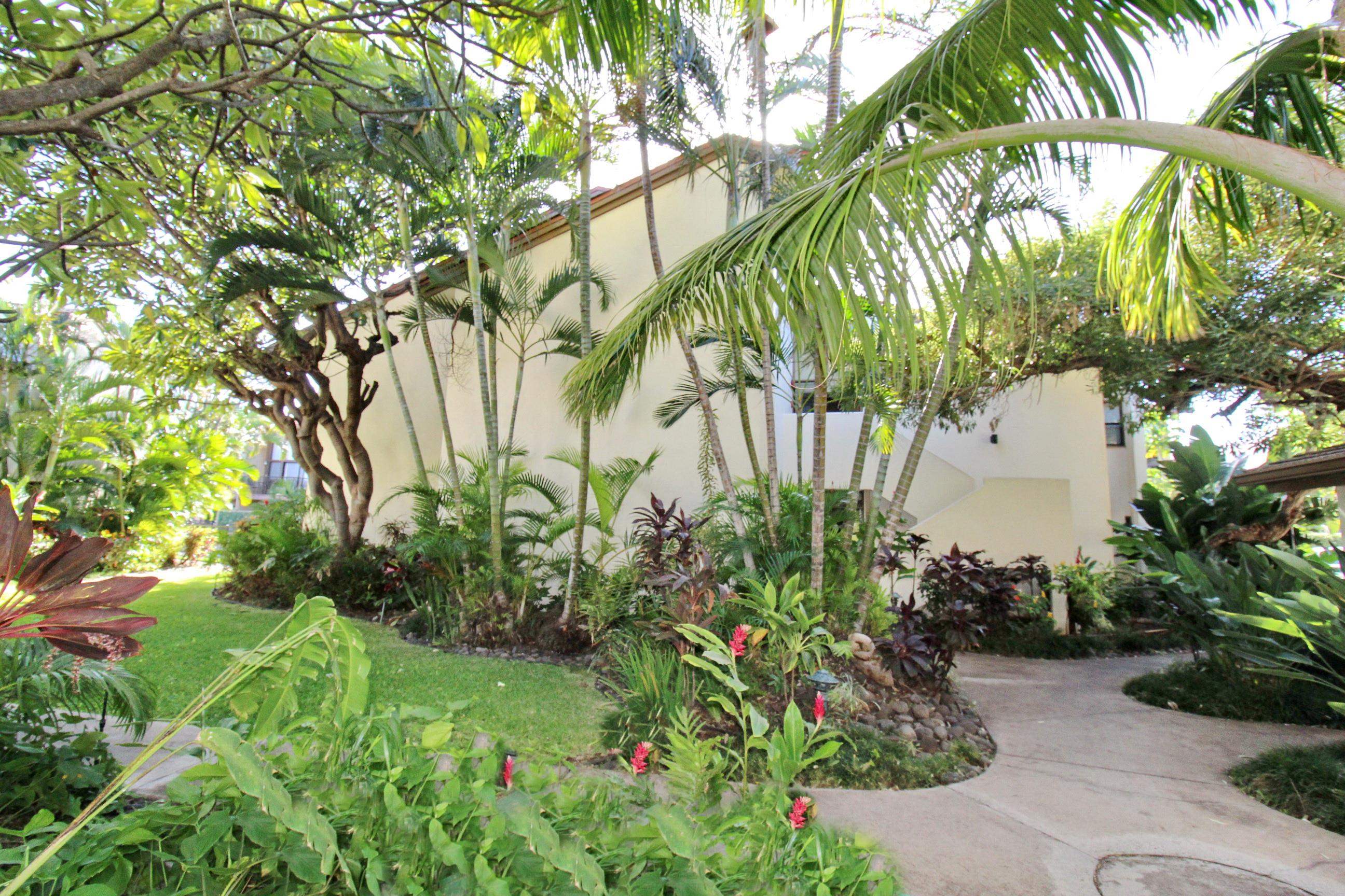 300 Hauoli St Property Photo 6