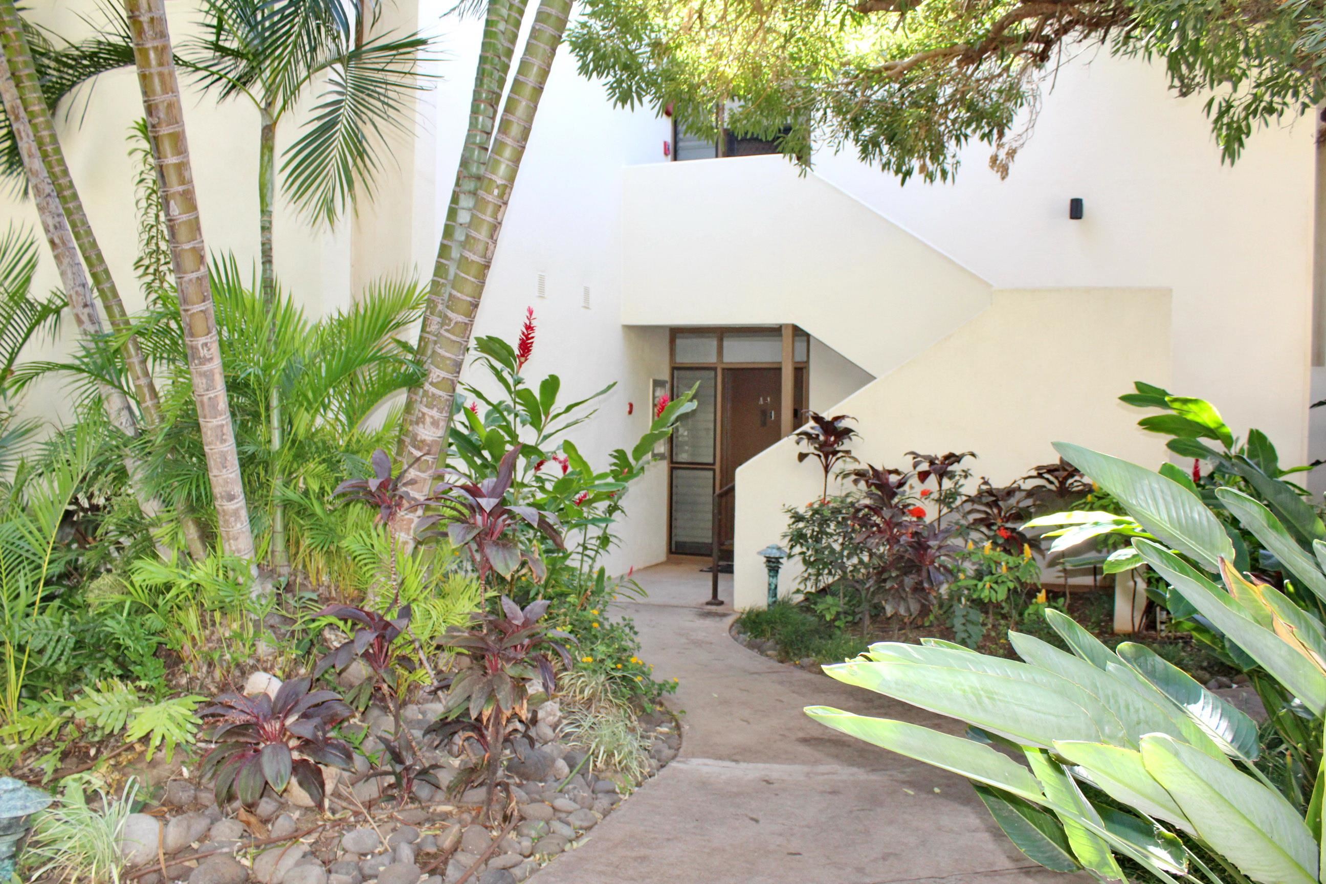 300 Hauoli St Property Photo 7
