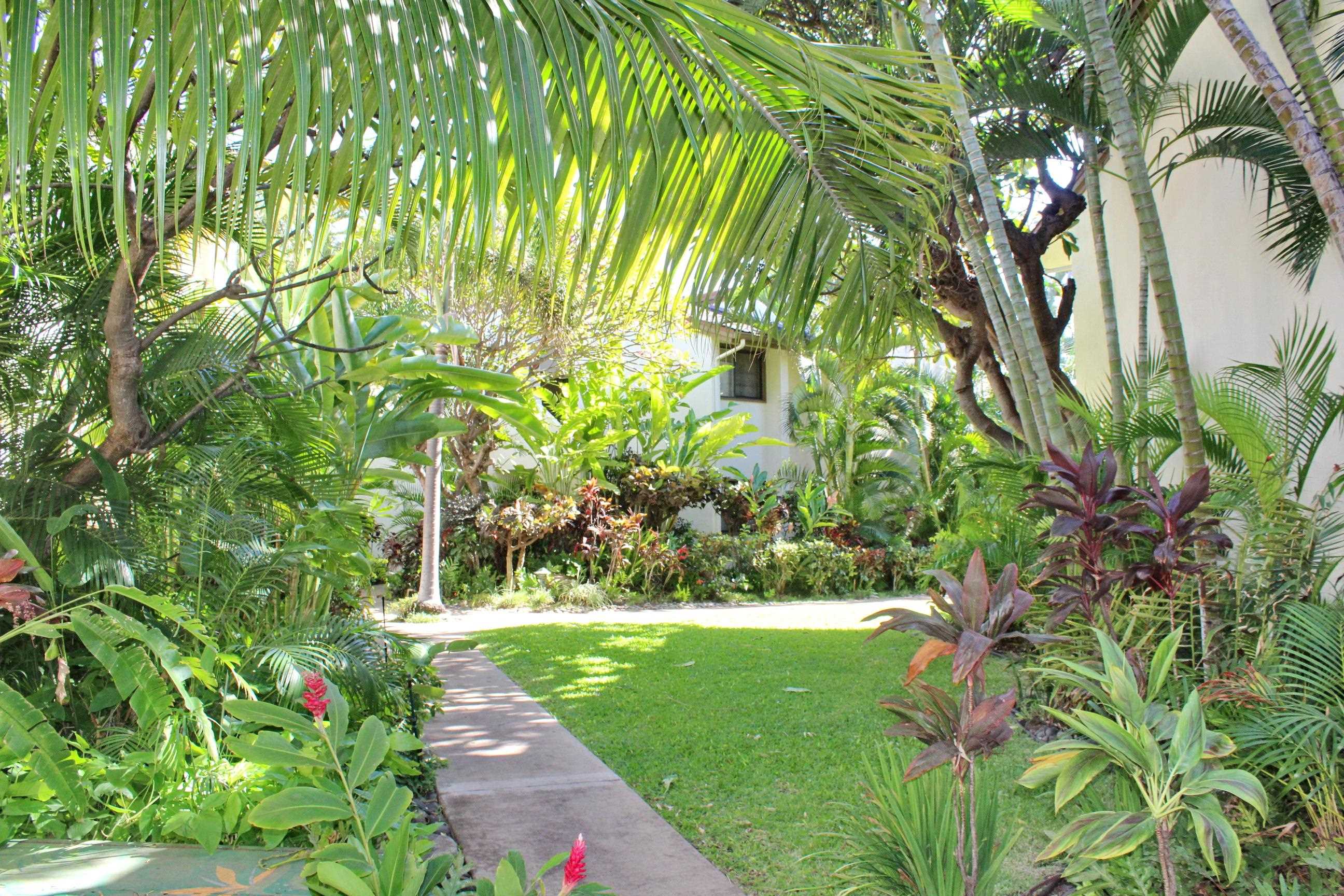 300 Hauoli St Property Photo 27