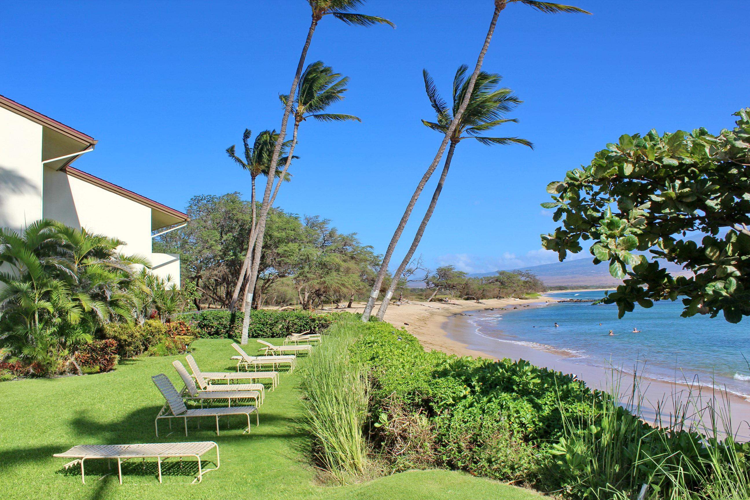 300 Hauoli St Property Photo 27