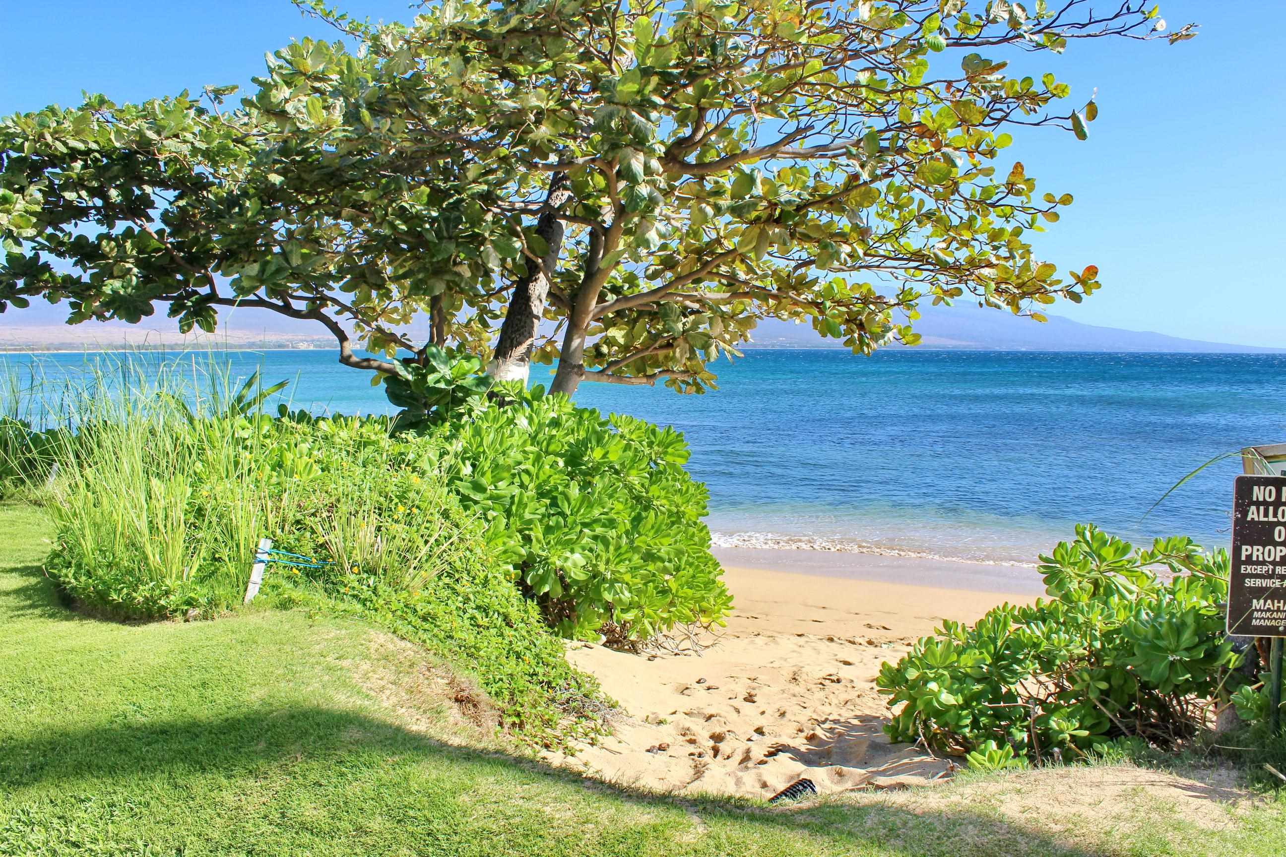 300 Hauoli St Property Photo 29