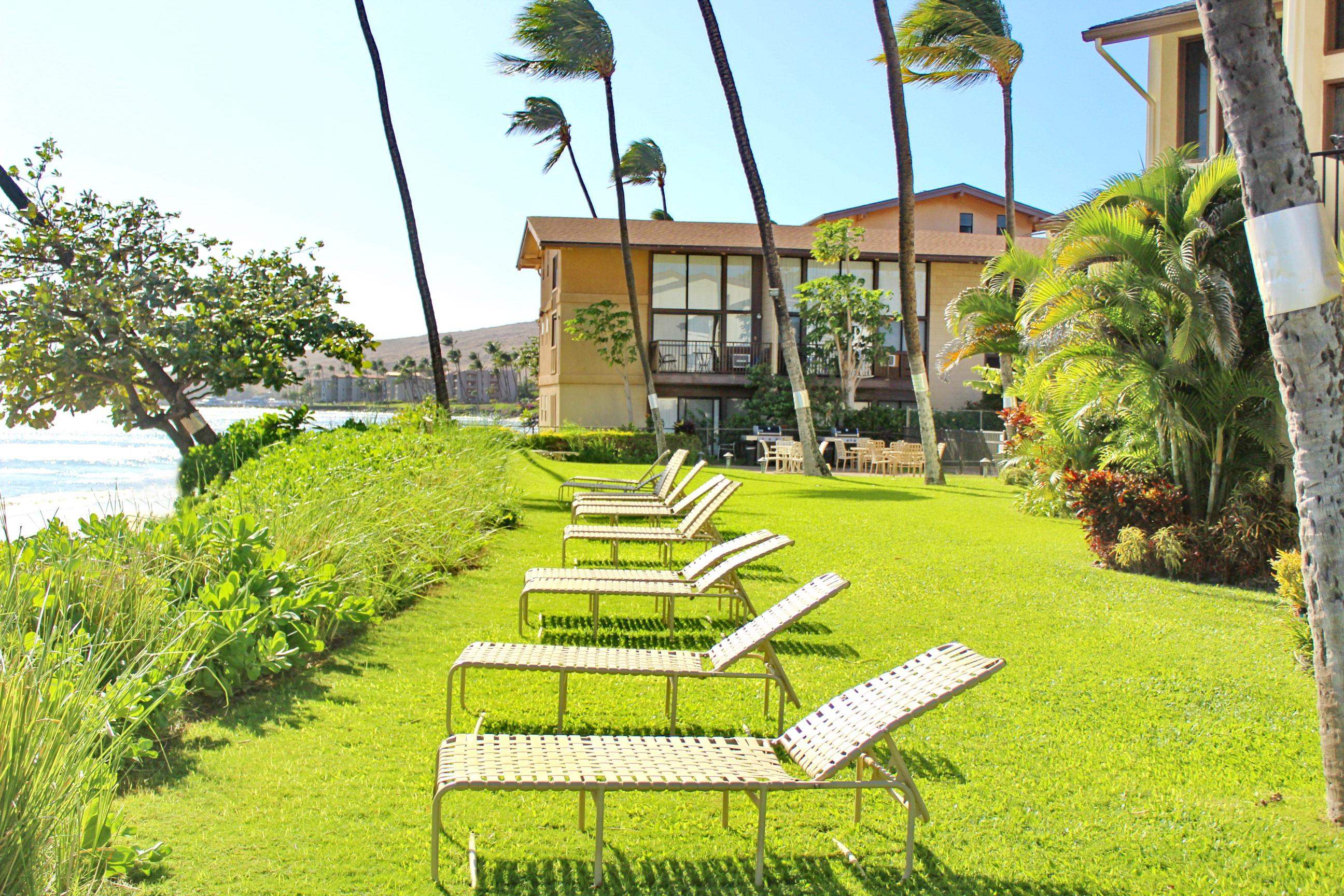 300 Hauoli St Property Photo 32