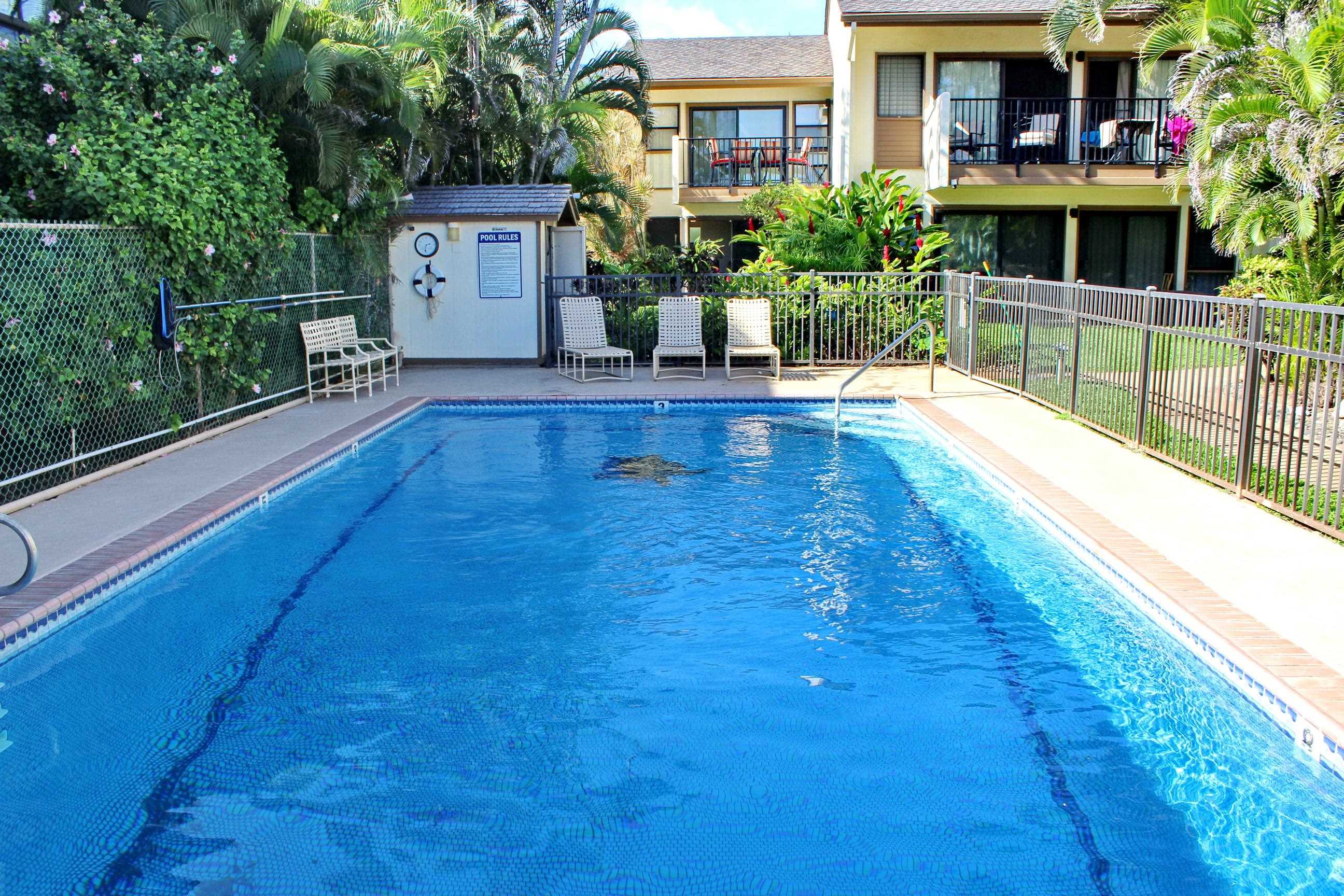 300 Hauoli St Property Photo 34