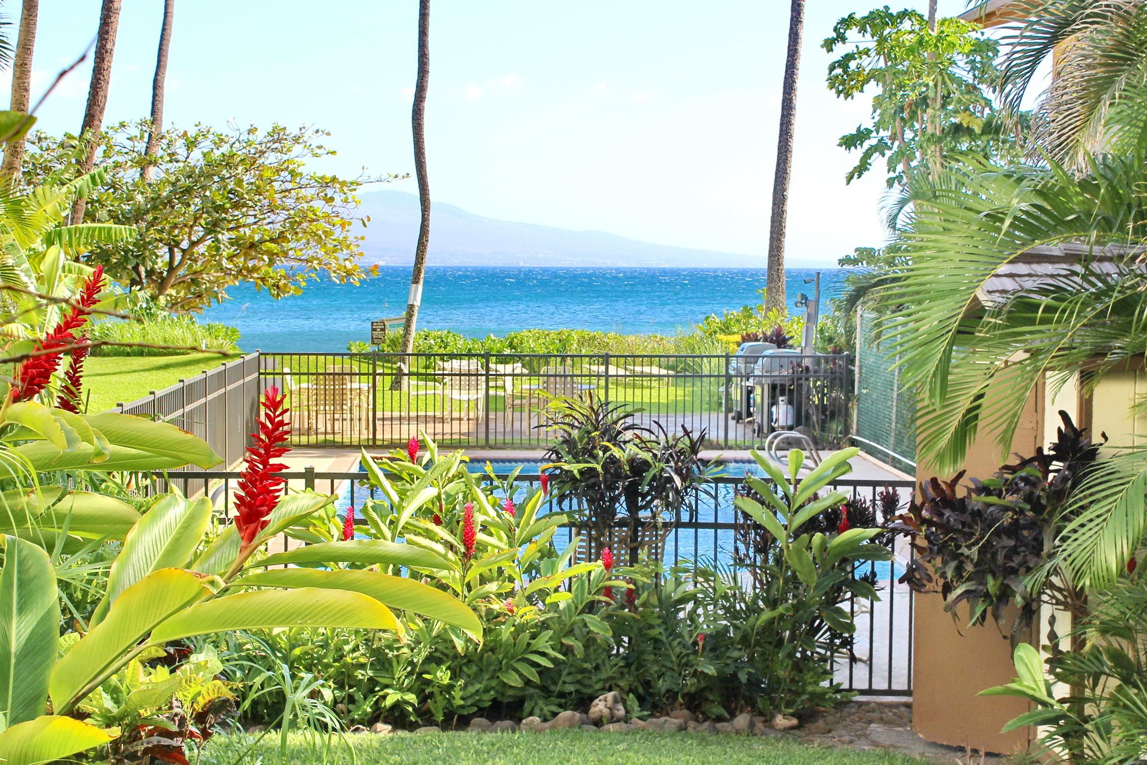 300 Hauoli St Property Photo 35