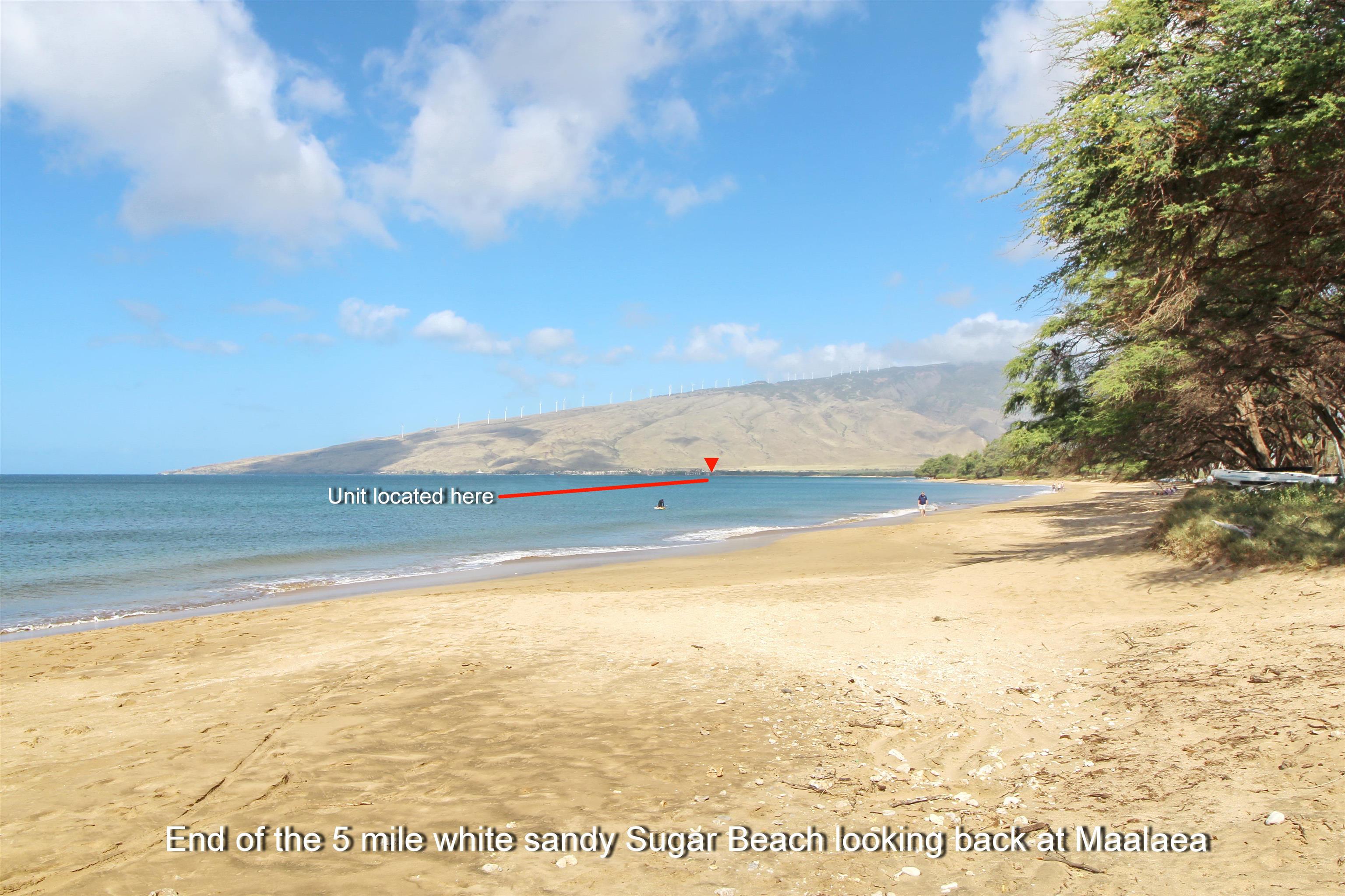 300 Hauoli St Property Photo 40
