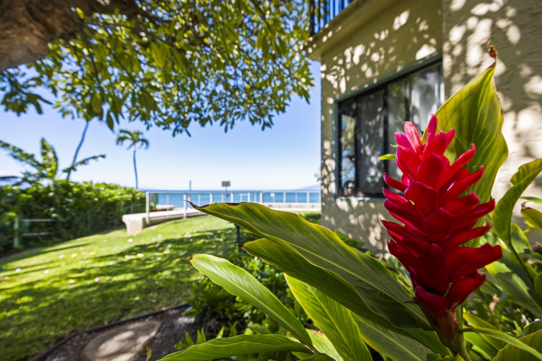 4401 Lower Honoapiilani Rd Property Photo 47