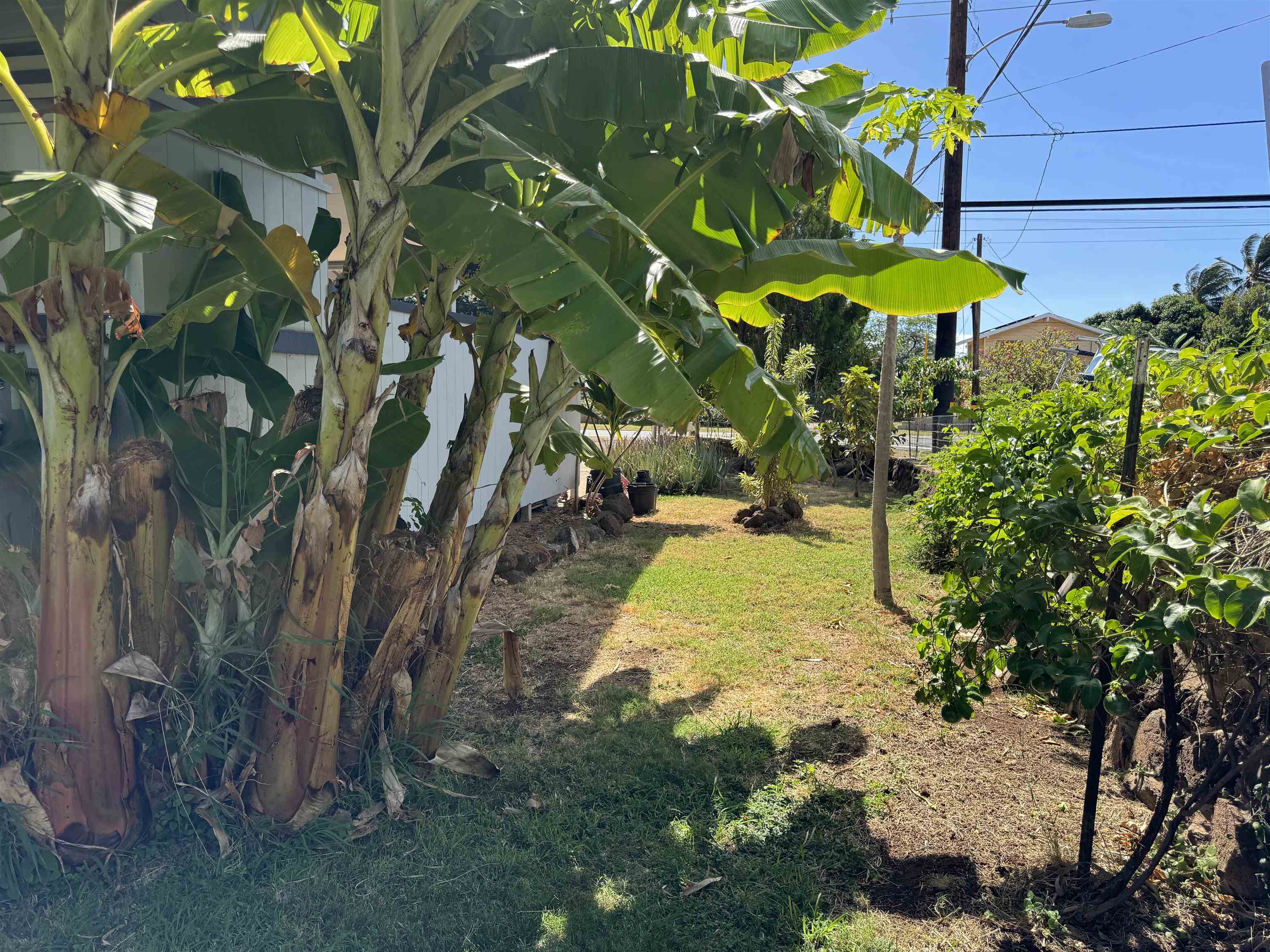 6 Pano Pl Property Photo 19