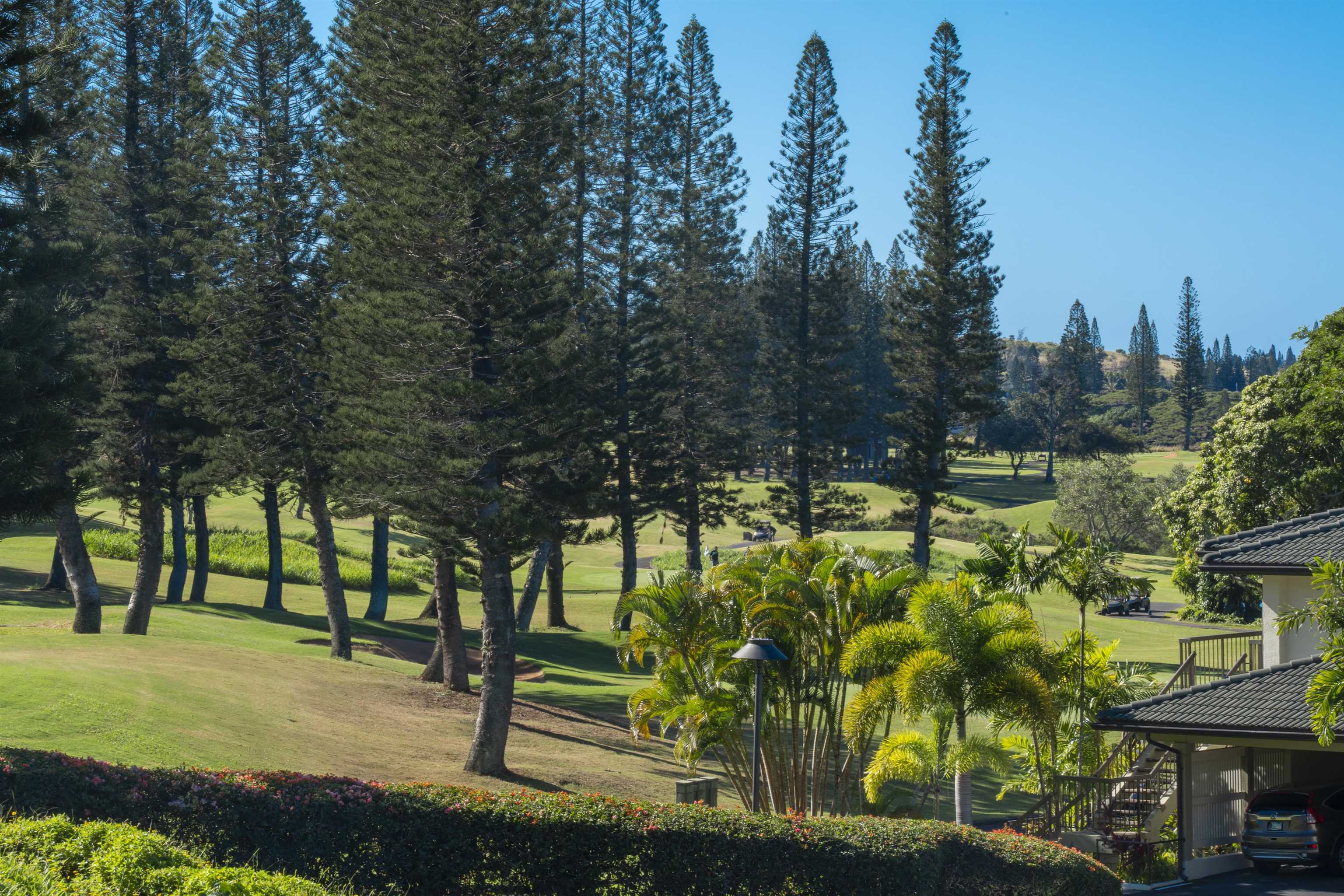500 Kapalua Dr Property Photo 20
