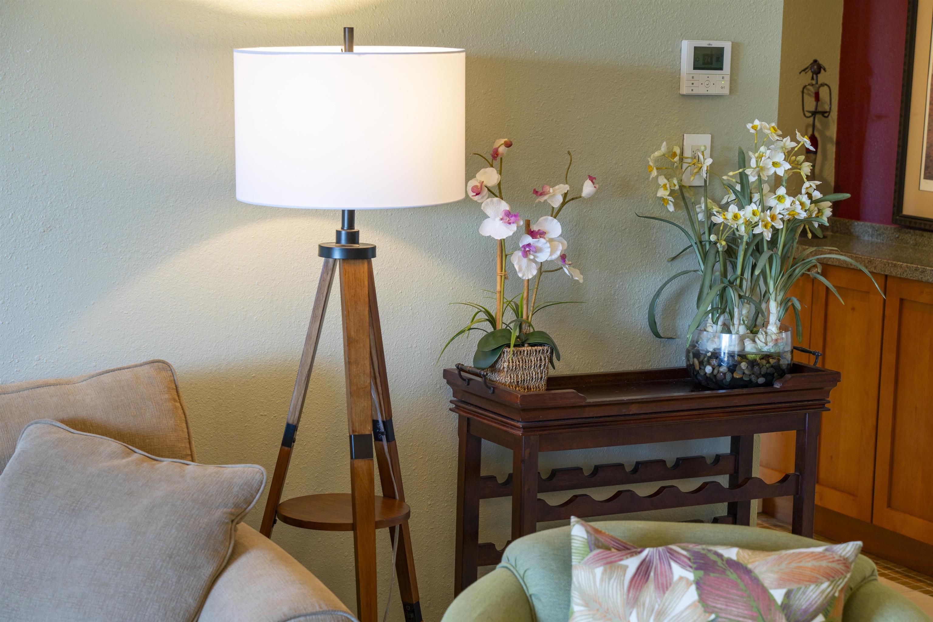 500 Kapalua Dr Property Photo 21