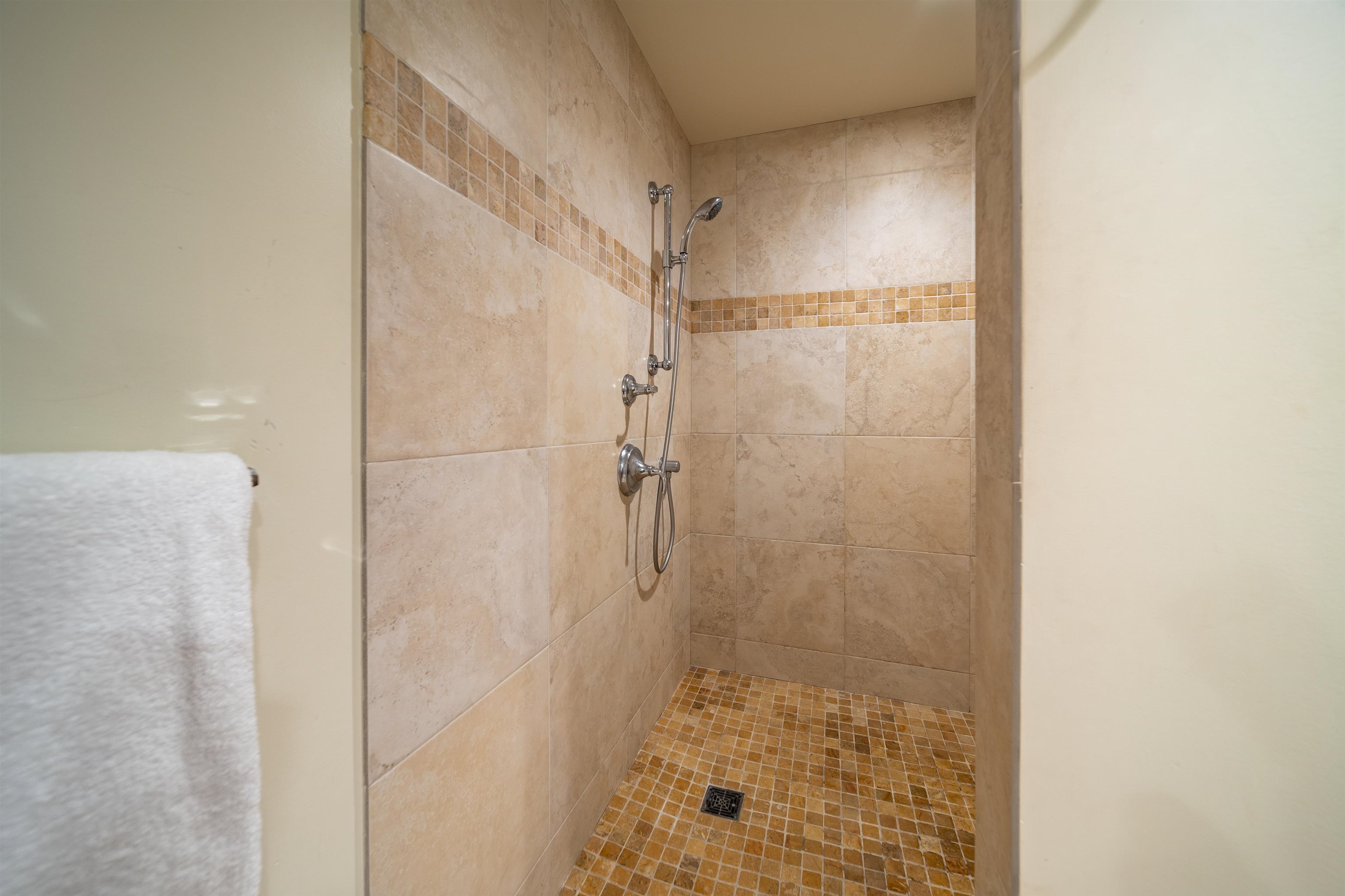 500 Kapalua Dr Property Photo 42