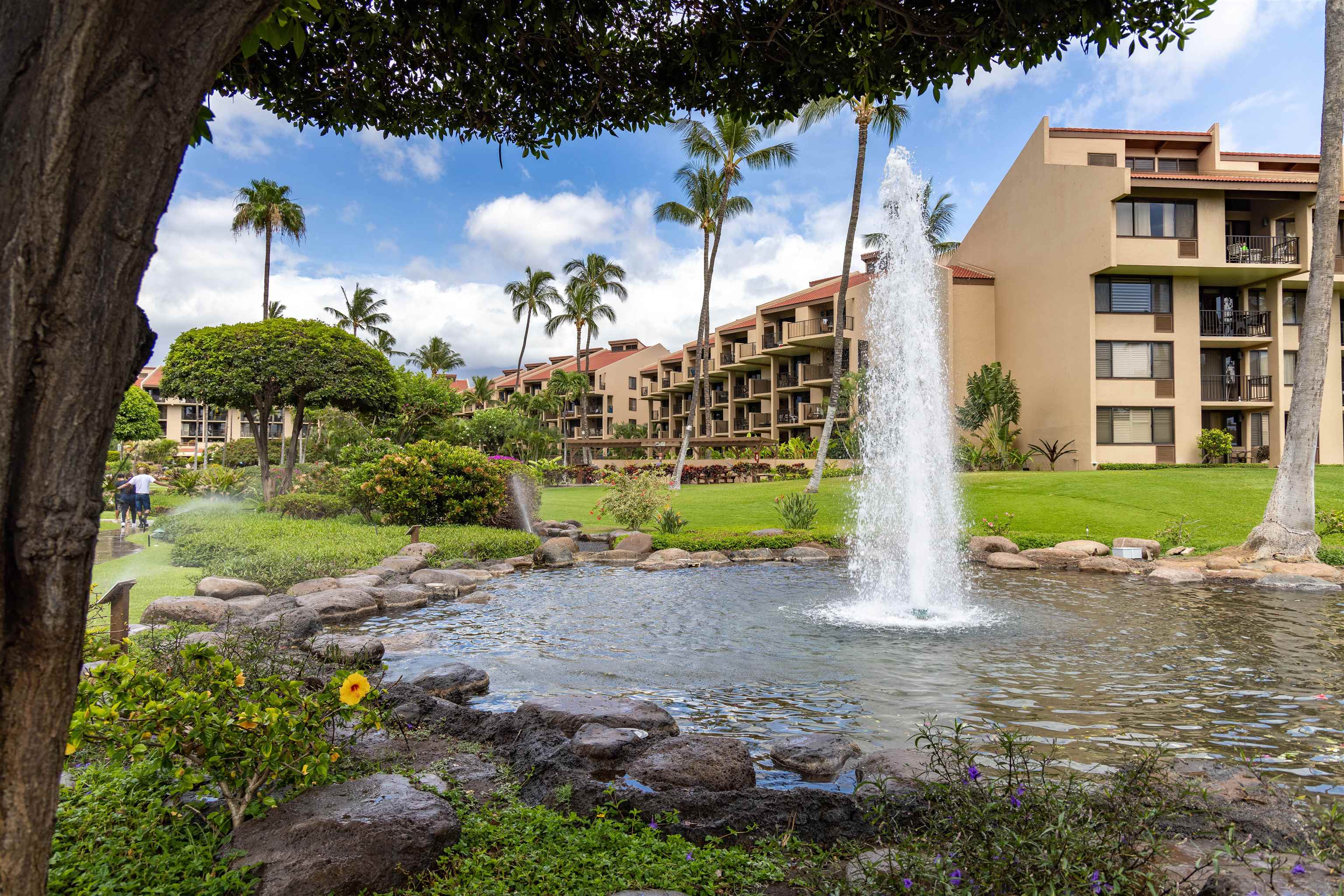 2695 S Kihei Rd Property Photo 26