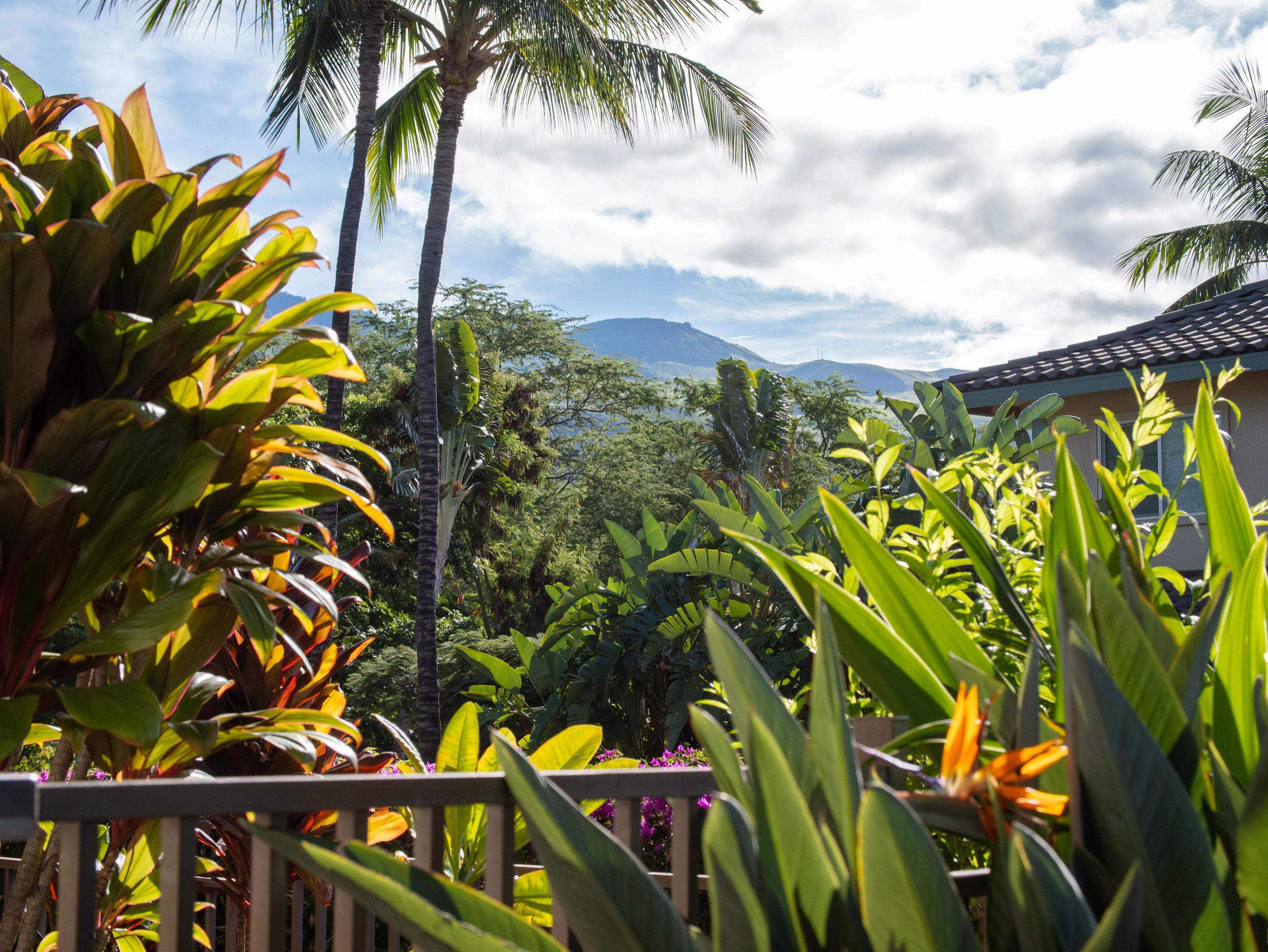 72 Kainui Loop Property Photo 46