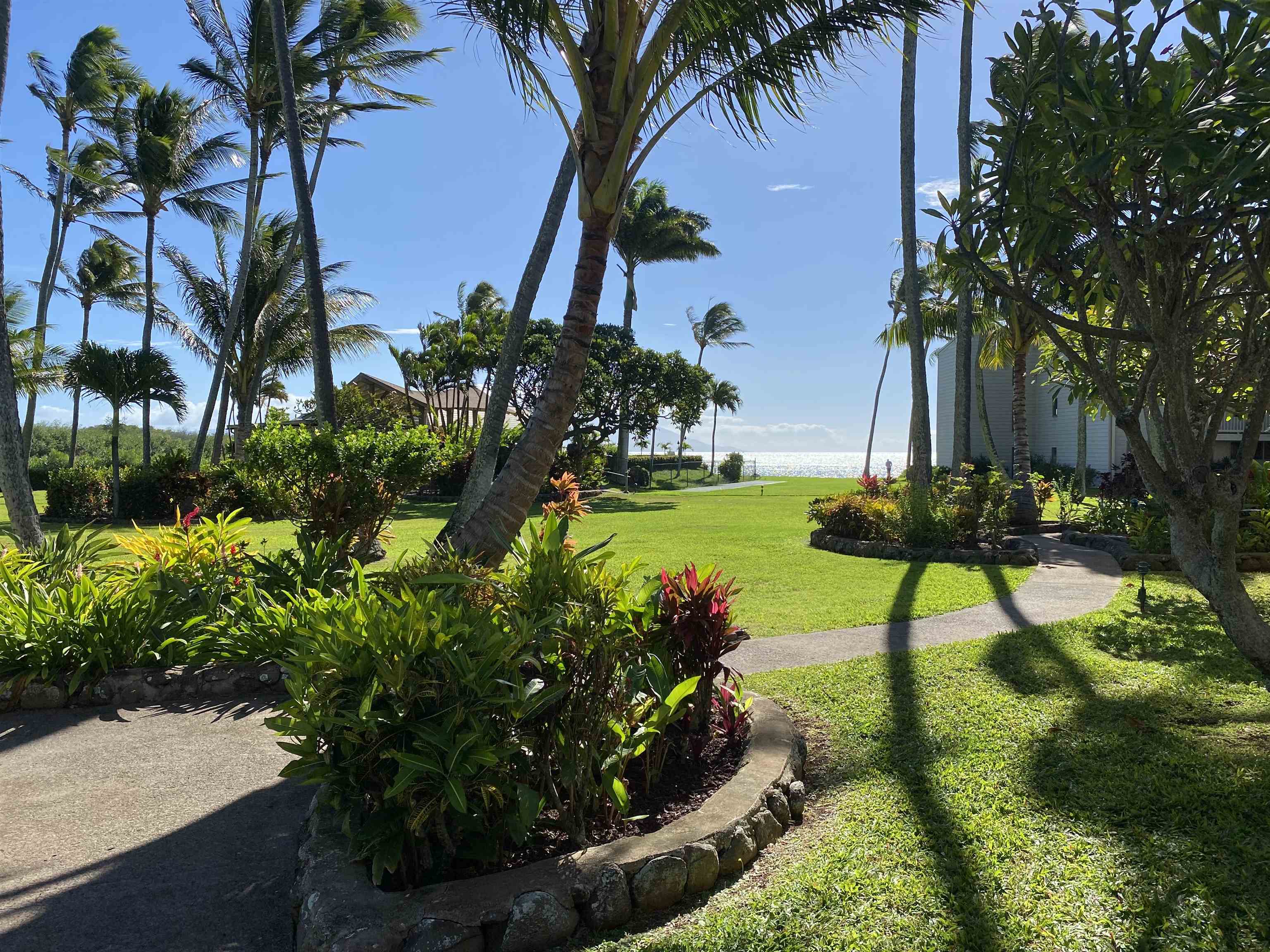 7146 Kamehameha V Hwy Property Photo 16